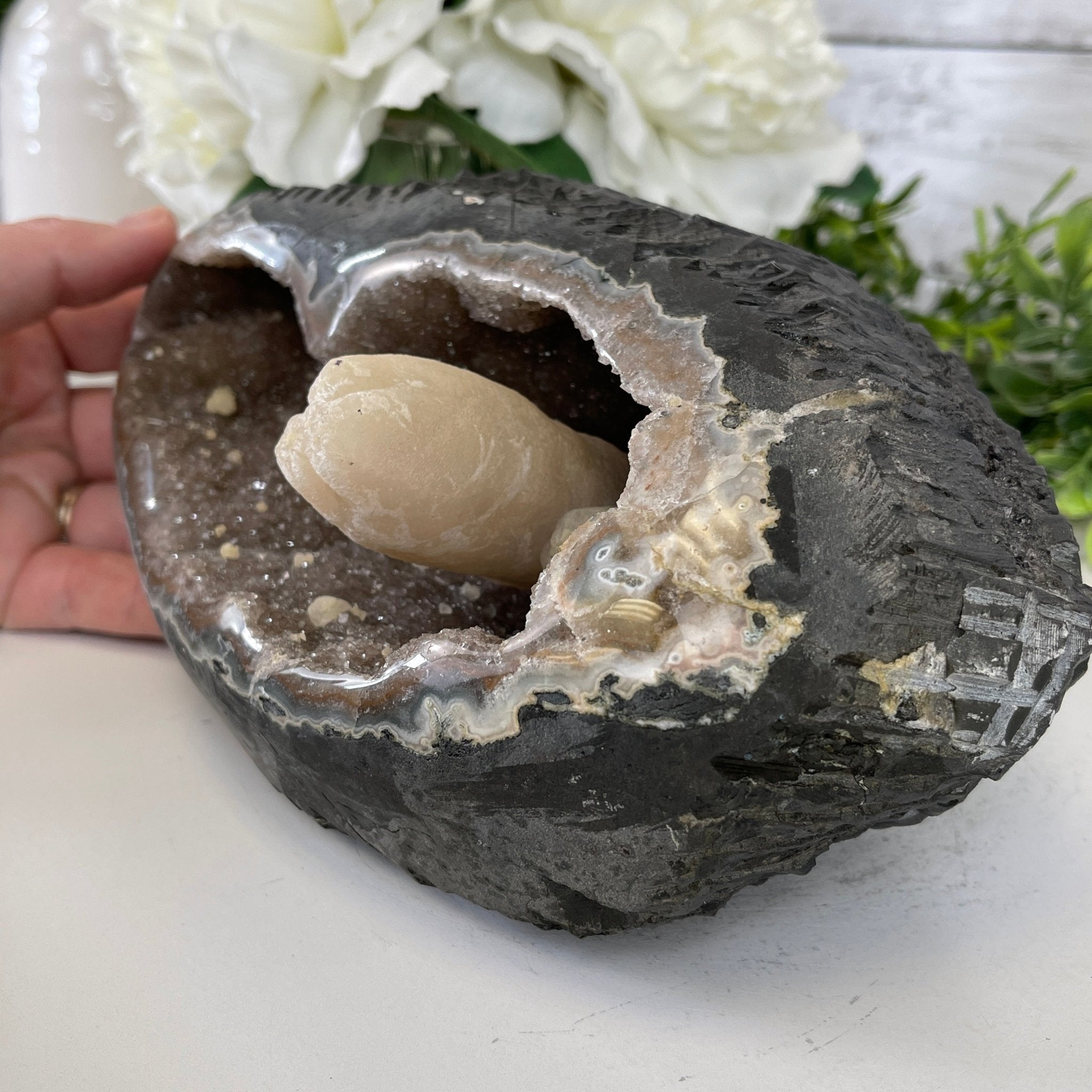 Extra Plus Quality Unique Uruguayan Amethyst Geode, 3.75” tall & 6.6 lbs #5520-0013 by Brazil Gems - Brazil GemsBrazil GemsExtra Plus Quality Unique Uruguayan Amethyst Geode, 3.75” tall & 6.6 lbs #5520-0013 by Brazil GemsClusters: Unique & Freeform5520-0013