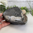 Extra Plus Quality Unique Uruguayan Amethyst Geode, 3.75” tall & 6.6 lbs #5520-0013 by Brazil Gems - Brazil GemsBrazil GemsExtra Plus Quality Unique Uruguayan Amethyst Geode, 3.75” tall & 6.6 lbs #5520-0013 by Brazil GemsClusters: Unique & Freeform5520-0013