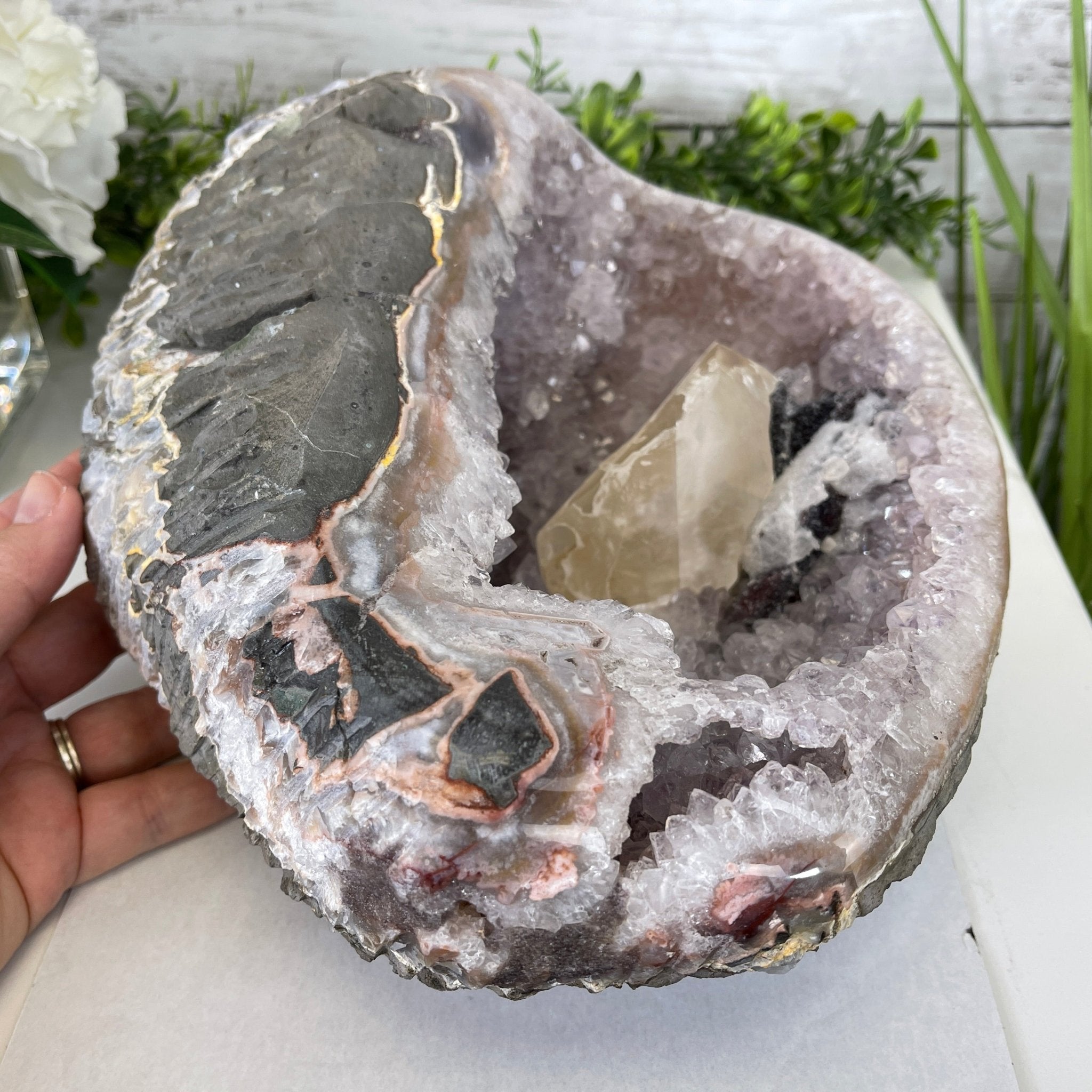 Extra Plus Quality Unique Uruguayan Amethyst Geode, 4.25” tall & 14.3 lbs #5520-0017 by Brazil Gems - Brazil GemsBrazil GemsExtra Plus Quality Unique Uruguayan Amethyst Geode, 4.25” tall & 14.3 lbs #5520-0017 by Brazil GemsClusters: Unique & Freeform5520-0017