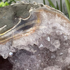 Extra Plus Quality Unique Uruguayan Amethyst Geode, 4.25” tall & 14.3 lbs #5520-0017 by Brazil Gems - Brazil GemsBrazil GemsExtra Plus Quality Unique Uruguayan Amethyst Geode, 4.25” tall & 14.3 lbs #5520-0017 by Brazil GemsClusters: Unique & Freeform5520-0017