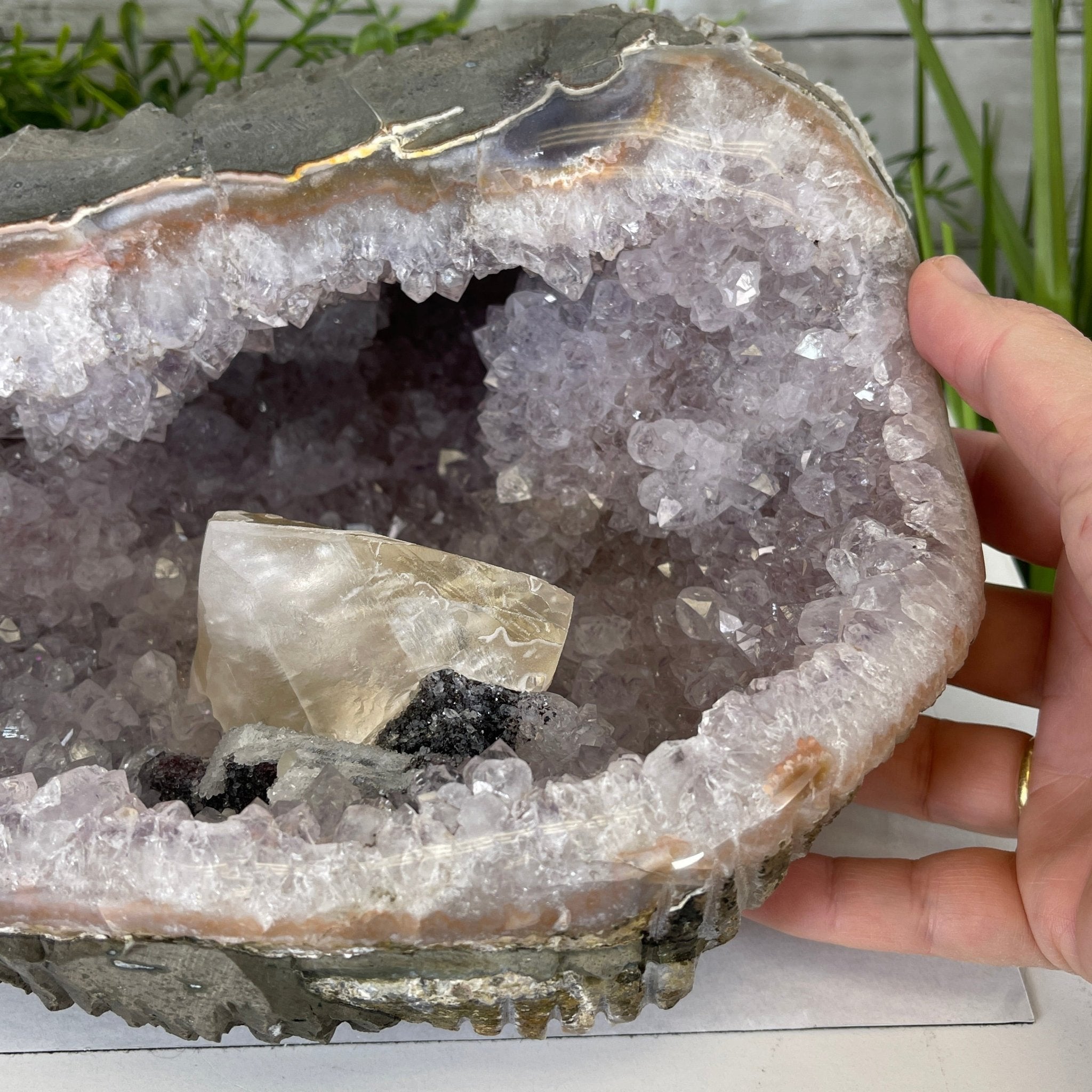 Extra Plus Quality Unique Uruguayan Amethyst Geode, 4.25” tall & 14.3 lbs #5520-0017 by Brazil Gems - Brazil GemsBrazil GemsExtra Plus Quality Unique Uruguayan Amethyst Geode, 4.25” tall & 14.3 lbs #5520-0017 by Brazil GemsClusters: Unique & Freeform5520-0017