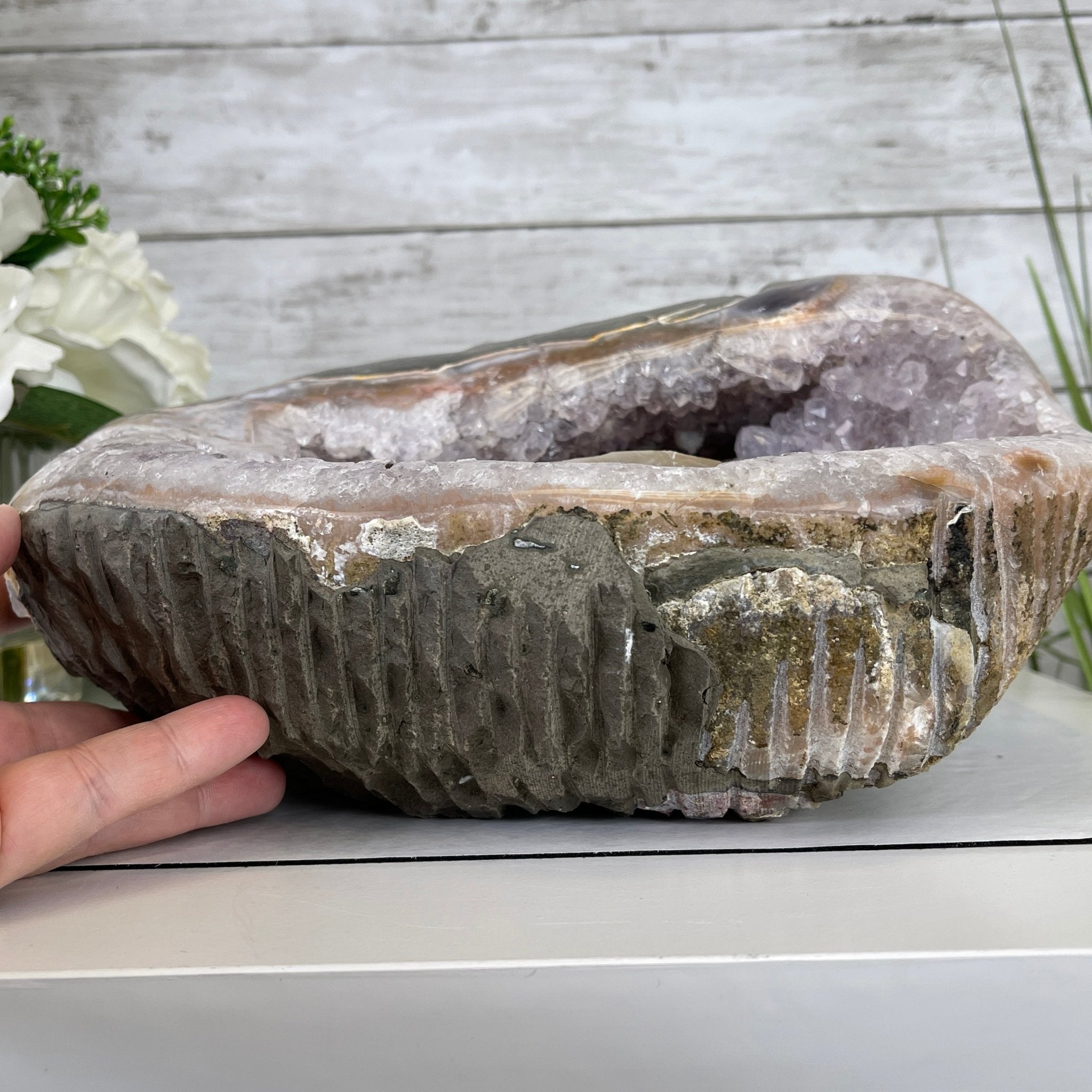 Extra Plus Quality Unique Uruguayan Amethyst Geode, 4.25” tall & 14.3 lbs #5520-0017 by Brazil Gems - Brazil GemsBrazil GemsExtra Plus Quality Unique Uruguayan Amethyst Geode, 4.25” tall & 14.3 lbs #5520-0017 by Brazil GemsClusters: Unique & Freeform5520-0017