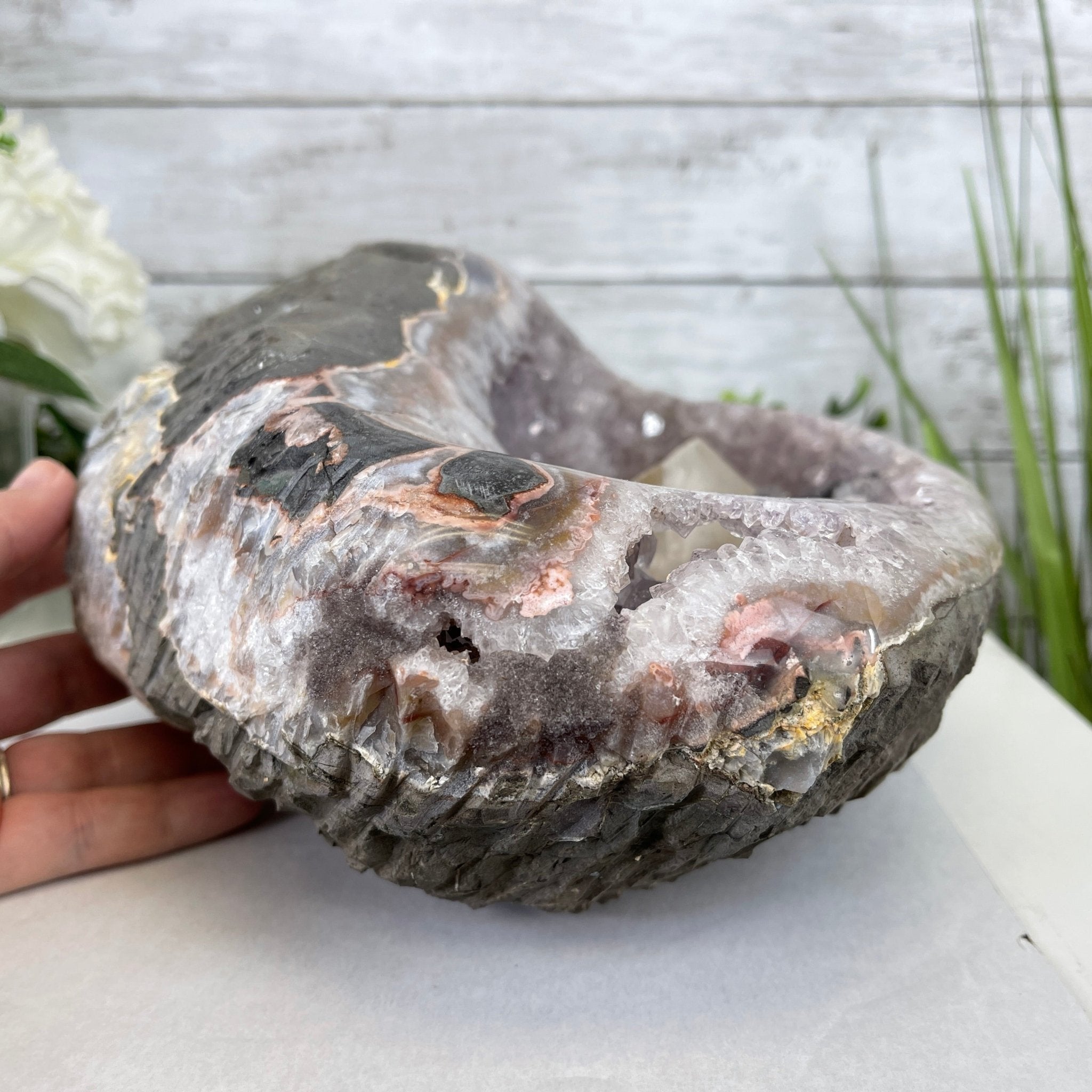 Extra Plus Quality Unique Uruguayan Amethyst Geode, 4.25” tall & 14.3 lbs #5520-0017 by Brazil Gems - Brazil GemsBrazil GemsExtra Plus Quality Unique Uruguayan Amethyst Geode, 4.25” tall & 14.3 lbs #5520-0017 by Brazil GemsClusters: Unique & Freeform5520-0017