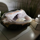 Extra Plus Quality Unique Uruguayan Amethyst Geode, 4.25” tall & 14.3 lbs #5520-0017 by Brazil Gems - Brazil GemsBrazil GemsExtra Plus Quality Unique Uruguayan Amethyst Geode, 4.25” tall & 14.3 lbs #5520-0017 by Brazil GemsClusters: Unique & Freeform5520-0017