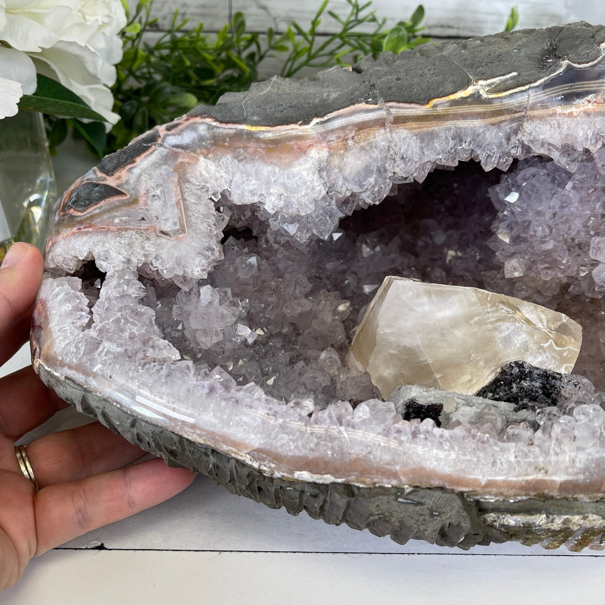 Extra Plus Quality Unique Uruguayan Amethyst Geode, 4.25” tall & 14.3 lbs #5520-0017 by Brazil Gems - Brazil GemsBrazil GemsExtra Plus Quality Unique Uruguayan Amethyst Geode, 4.25” tall & 14.3 lbs #5520-0017 by Brazil GemsClusters: Unique & Freeform5520-0017
