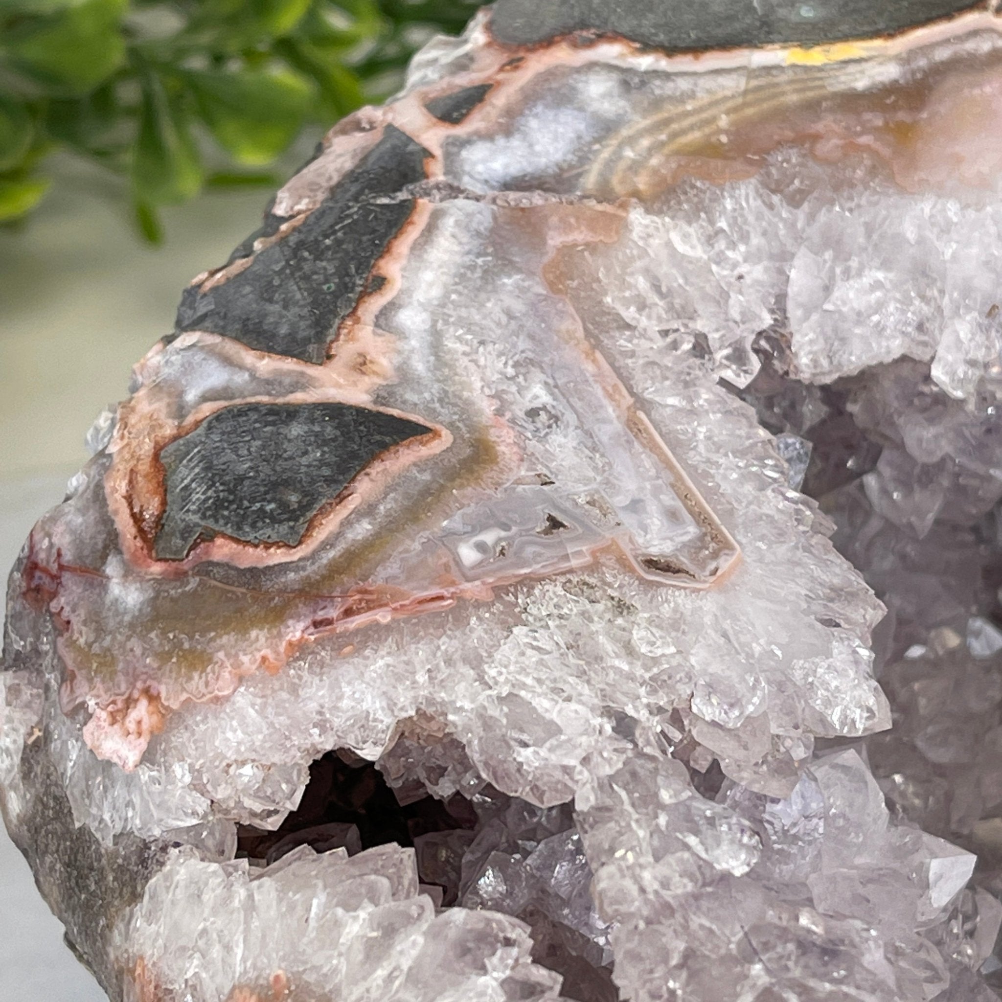 Extra Plus Quality Unique Uruguayan Amethyst Geode, 4.25” tall & 14.3 lbs #5520-0017 by Brazil Gems - Brazil GemsBrazil GemsExtra Plus Quality Unique Uruguayan Amethyst Geode, 4.25” tall & 14.3 lbs #5520-0017 by Brazil GemsClusters: Unique & Freeform5520-0017