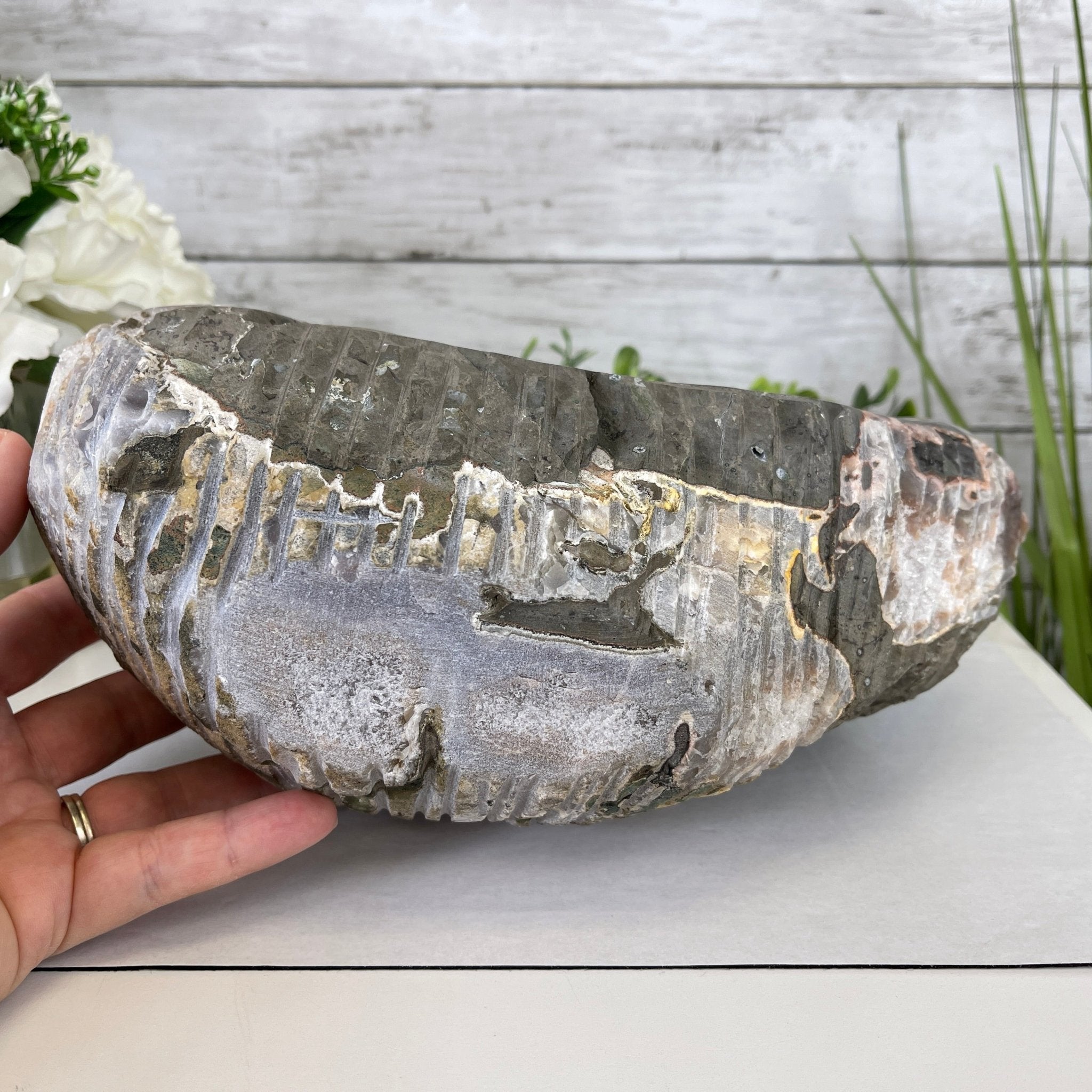 Extra Plus Quality Unique Uruguayan Amethyst Geode, 4.25” tall & 14.3 lbs #5520-0017 by Brazil Gems - Brazil GemsBrazil GemsExtra Plus Quality Unique Uruguayan Amethyst Geode, 4.25” tall & 14.3 lbs #5520-0017 by Brazil GemsClusters: Unique & Freeform5520-0017