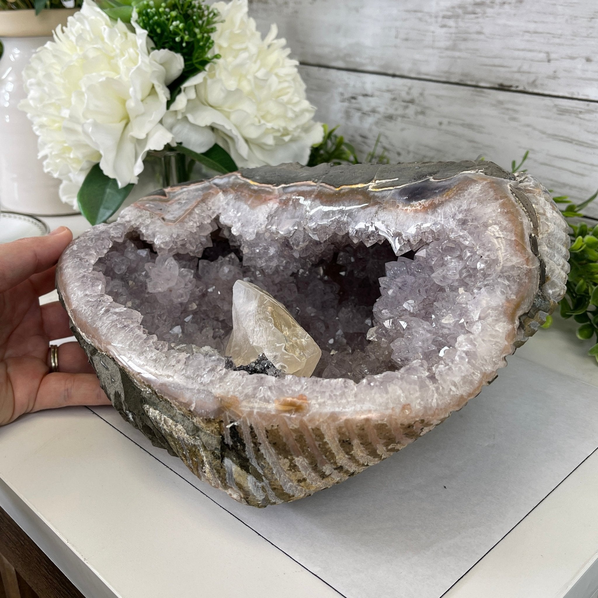 Extra Plus Quality Unique Uruguayan Amethyst Geode, 4.25” tall & 14.3 lbs #5520-0017 by Brazil Gems - Brazil GemsBrazil GemsExtra Plus Quality Unique Uruguayan Amethyst Geode, 4.25” tall & 14.3 lbs #5520-0017 by Brazil GemsClusters: Unique & Freeform5520-0017