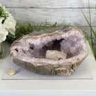 Extra Plus Quality Unique Uruguayan Amethyst Geode, 4.25” tall & 14.3 lbs #5520-0017 by Brazil Gems - Brazil GemsBrazil GemsExtra Plus Quality Unique Uruguayan Amethyst Geode, 4.25” tall & 14.3 lbs #5520-0017 by Brazil GemsClusters: Unique & Freeform5520-0017