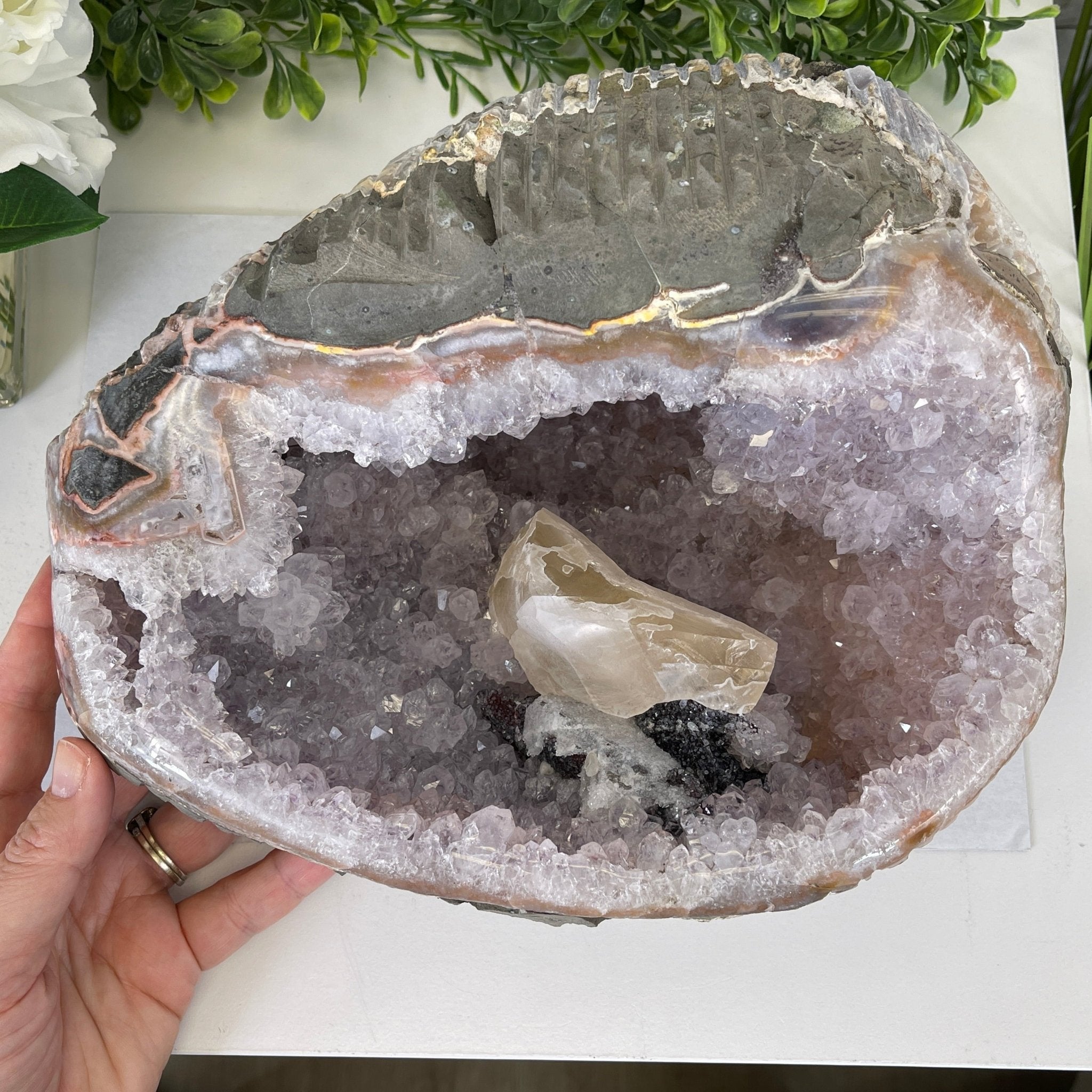 Extra Plus Quality Unique Uruguayan Amethyst Geode, 4.25” tall & 14.3 lbs #5520-0017 by Brazil Gems - Brazil GemsBrazil GemsExtra Plus Quality Unique Uruguayan Amethyst Geode, 4.25” tall & 14.3 lbs #5520-0017 by Brazil GemsClusters: Unique & Freeform5520-0017