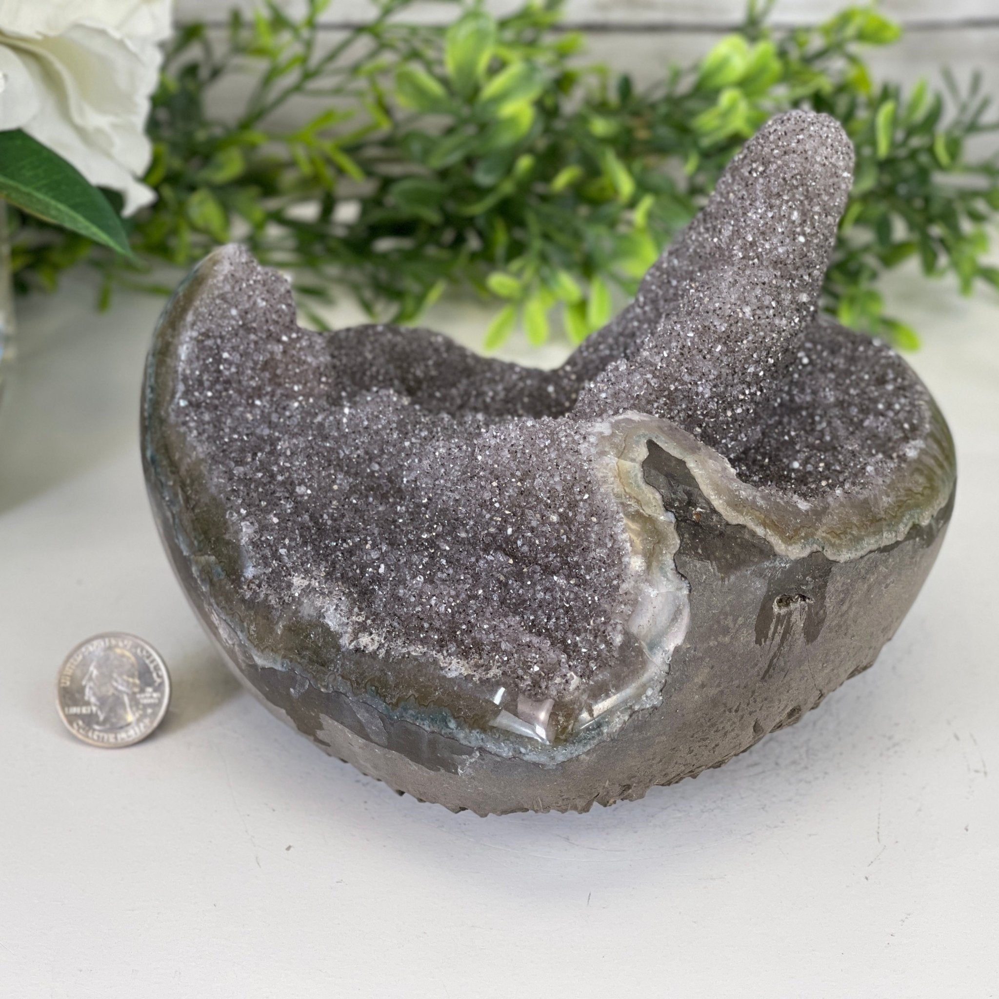 Extra Plus Quality Unique Uruguayan Amethyst Geode, 4.5” tall & 6 lbs #5520-0012 by Brazil Gems - Brazil GemsBrazil GemsExtra Plus Quality Unique Uruguayan Amethyst Geode, 4.5” tall & 6 lbs #5520-0012 by Brazil GemsClusters: Unique & Freeform5520-0012