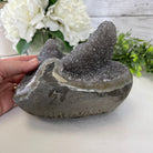 Extra Plus Quality Unique Uruguayan Amethyst Geode, 4.5” tall & 6 lbs #5520-0012 by Brazil Gems - Brazil GemsBrazil GemsExtra Plus Quality Unique Uruguayan Amethyst Geode, 4.5” tall & 6 lbs #5520-0012 by Brazil GemsClusters: Unique & Freeform5520-0012