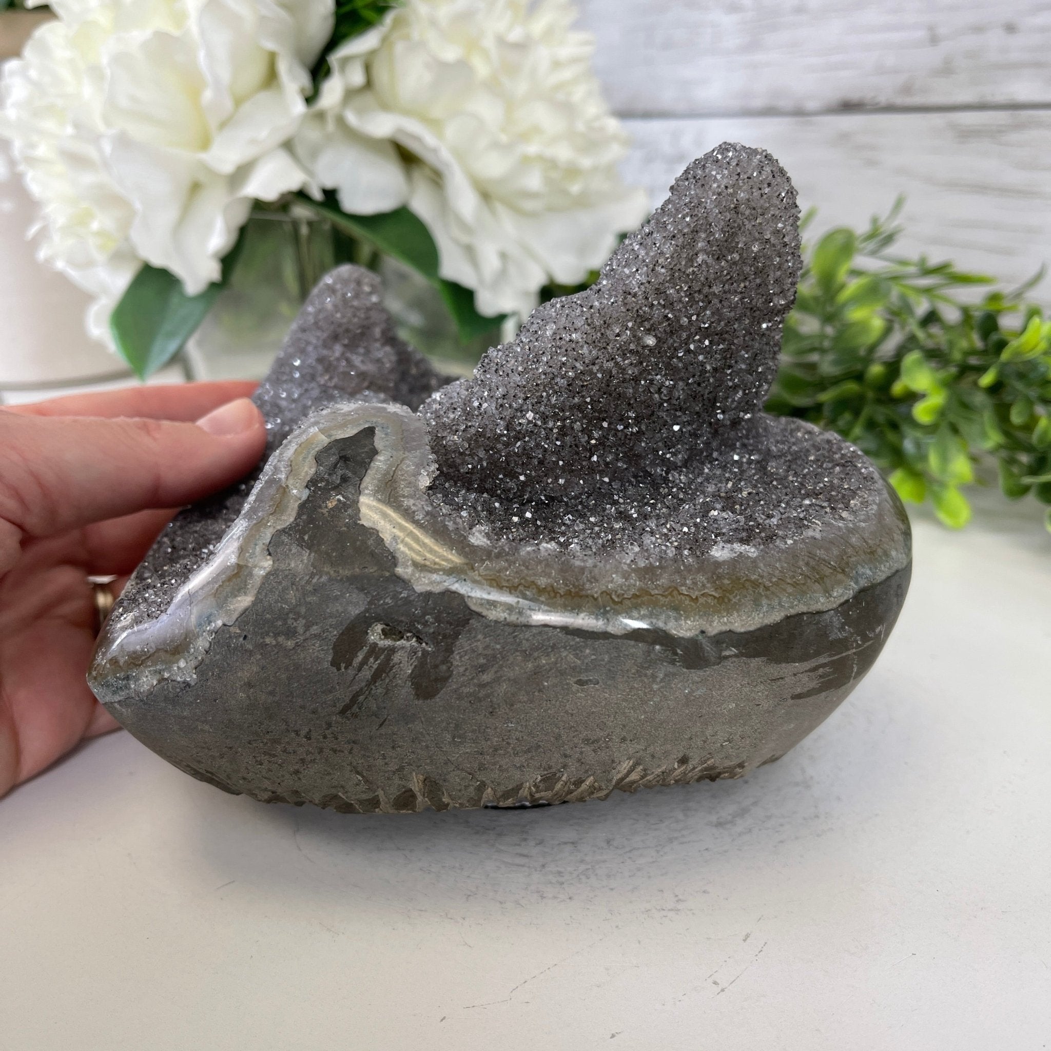 Extra Plus Quality Unique Uruguayan Amethyst Geode, 4.5” tall & 6 lbs #5520-0012 by Brazil Gems - Brazil GemsBrazil GemsExtra Plus Quality Unique Uruguayan Amethyst Geode, 4.5” tall & 6 lbs #5520-0012 by Brazil GemsClusters: Unique & Freeform5520-0012