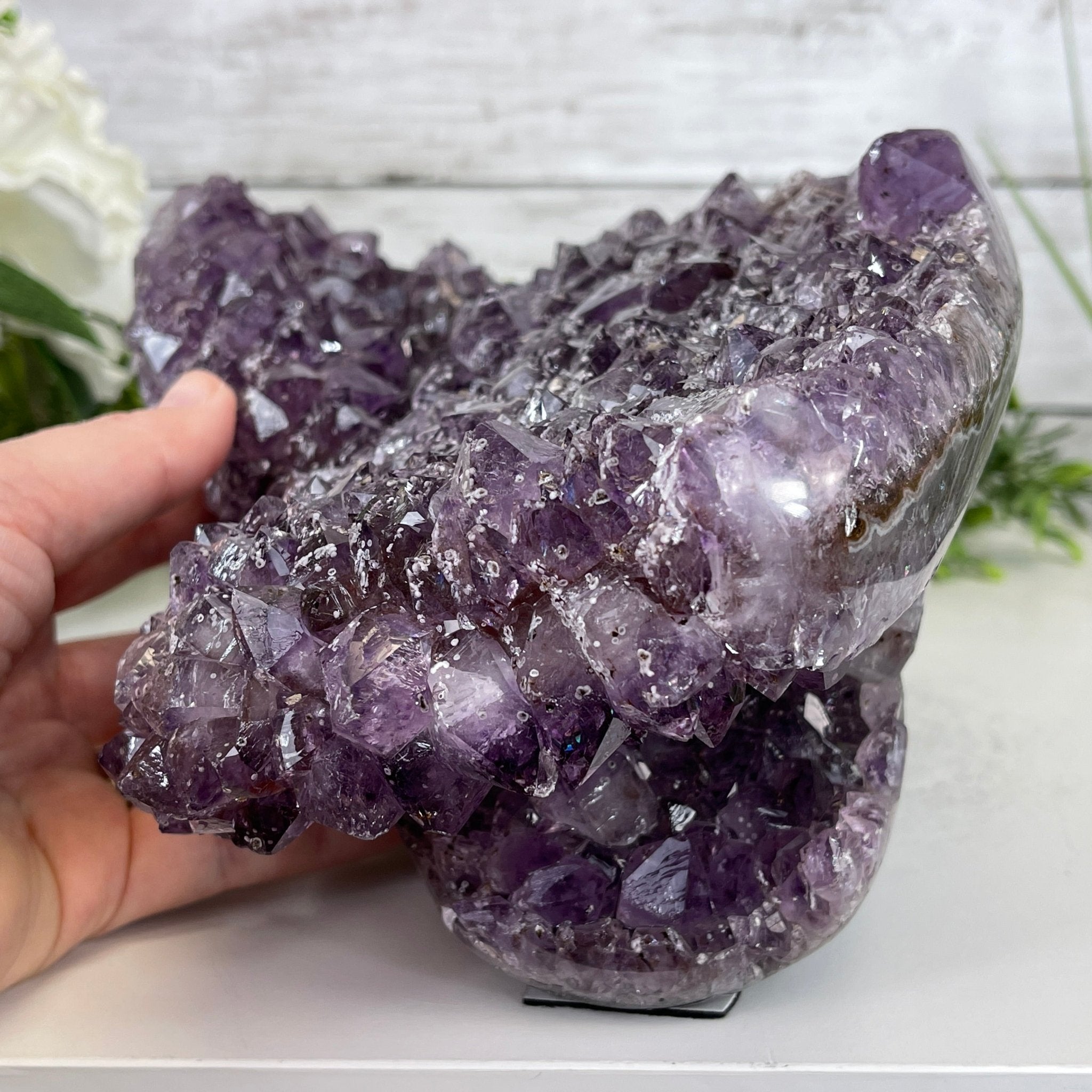 Extra Plus Quality Unique Uruguayan Amethyst Geode, 5.5” tall & 14.2 lbs #5520-0016 by Brazil Gems - Brazil GemsBrazil GemsExtra Plus Quality Unique Uruguayan Amethyst Geode, 5.5” tall & 14.2 lbs #5520-0016 by Brazil GemsClusters: Unique & Freeform5520-0016