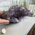 Extra Plus Quality Unique Uruguayan Amethyst Geode, 5.5” tall & 14.2 lbs #5520-0016 by Brazil Gems - Brazil GemsBrazil GemsExtra Plus Quality Unique Uruguayan Amethyst Geode, 5.5” tall & 14.2 lbs #5520-0016 by Brazil GemsClusters: Unique & Freeform5520-0016