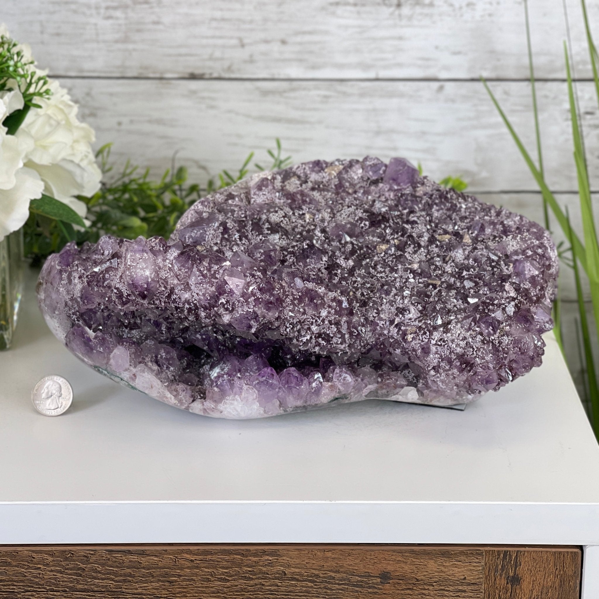 Extra Plus Quality Unique Uruguayan Amethyst Geode, 5.5” tall & 14.2 lbs #5520-0016 by Brazil Gems - Brazil GemsBrazil GemsExtra Plus Quality Unique Uruguayan Amethyst Geode, 5.5” tall & 14.2 lbs #5520-0016 by Brazil GemsClusters: Unique & Freeform5520-0016