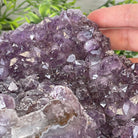 Extra Plus Quality Unique Uruguayan Amethyst Geode, 5.5” tall & 14.2 lbs #5520-0016 by Brazil Gems - Brazil GemsBrazil GemsExtra Plus Quality Unique Uruguayan Amethyst Geode, 5.5” tall & 14.2 lbs #5520-0016 by Brazil GemsClusters: Unique & Freeform5520-0016