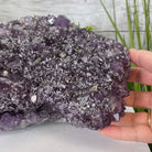 Extra Plus Quality Unique Uruguayan Amethyst Geode, 5.5” tall & 14.2 lbs #5520-0016 by Brazil Gems - Brazil GemsBrazil GemsExtra Plus Quality Unique Uruguayan Amethyst Geode, 5.5” tall & 14.2 lbs #5520-0016 by Brazil GemsClusters: Unique & Freeform5520-0016