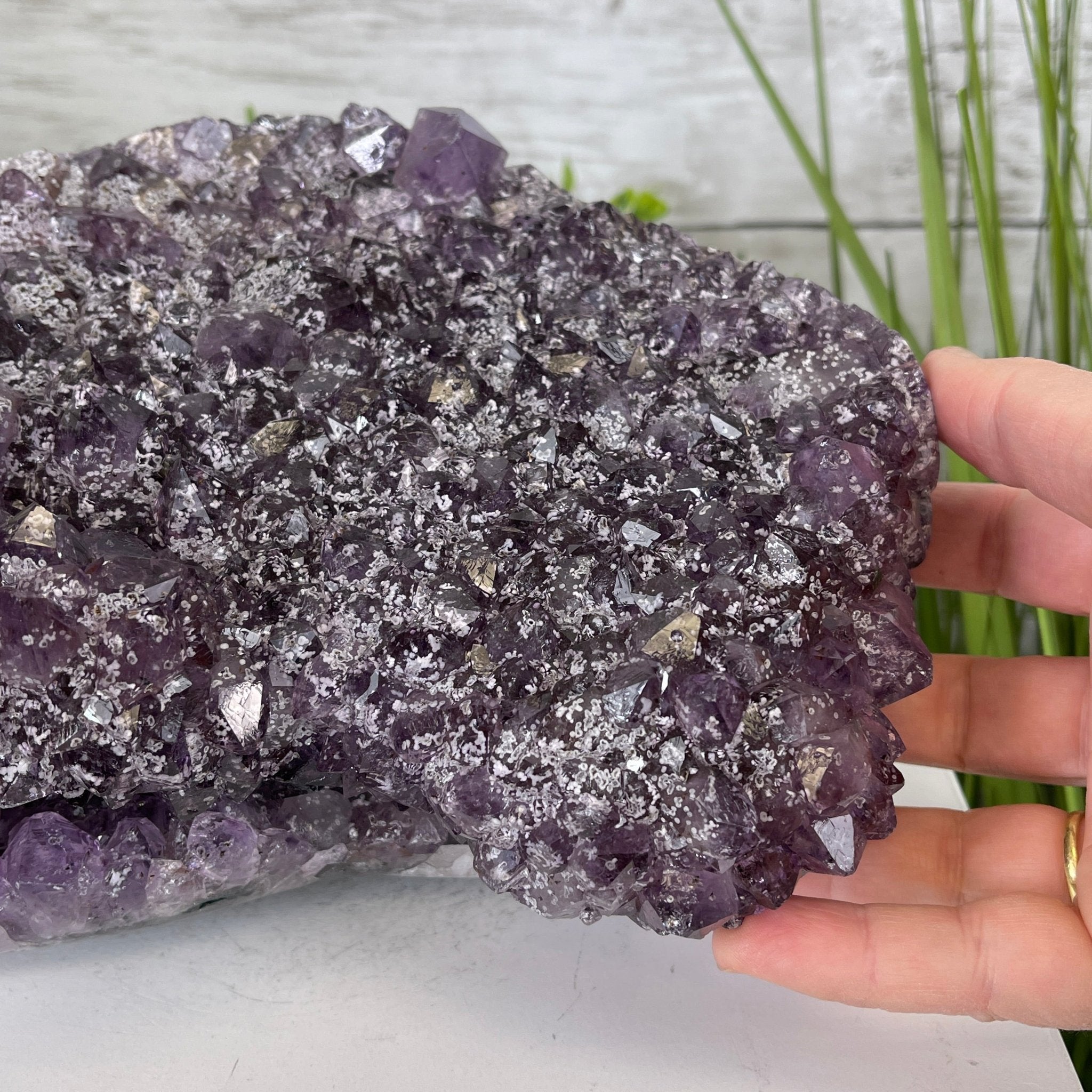 Extra Plus Quality Unique Uruguayan Amethyst Geode, 5.5” tall & 14.2 lbs #5520-0016 by Brazil Gems - Brazil GemsBrazil GemsExtra Plus Quality Unique Uruguayan Amethyst Geode, 5.5” tall & 14.2 lbs #5520-0016 by Brazil GemsClusters: Unique & Freeform5520-0016
