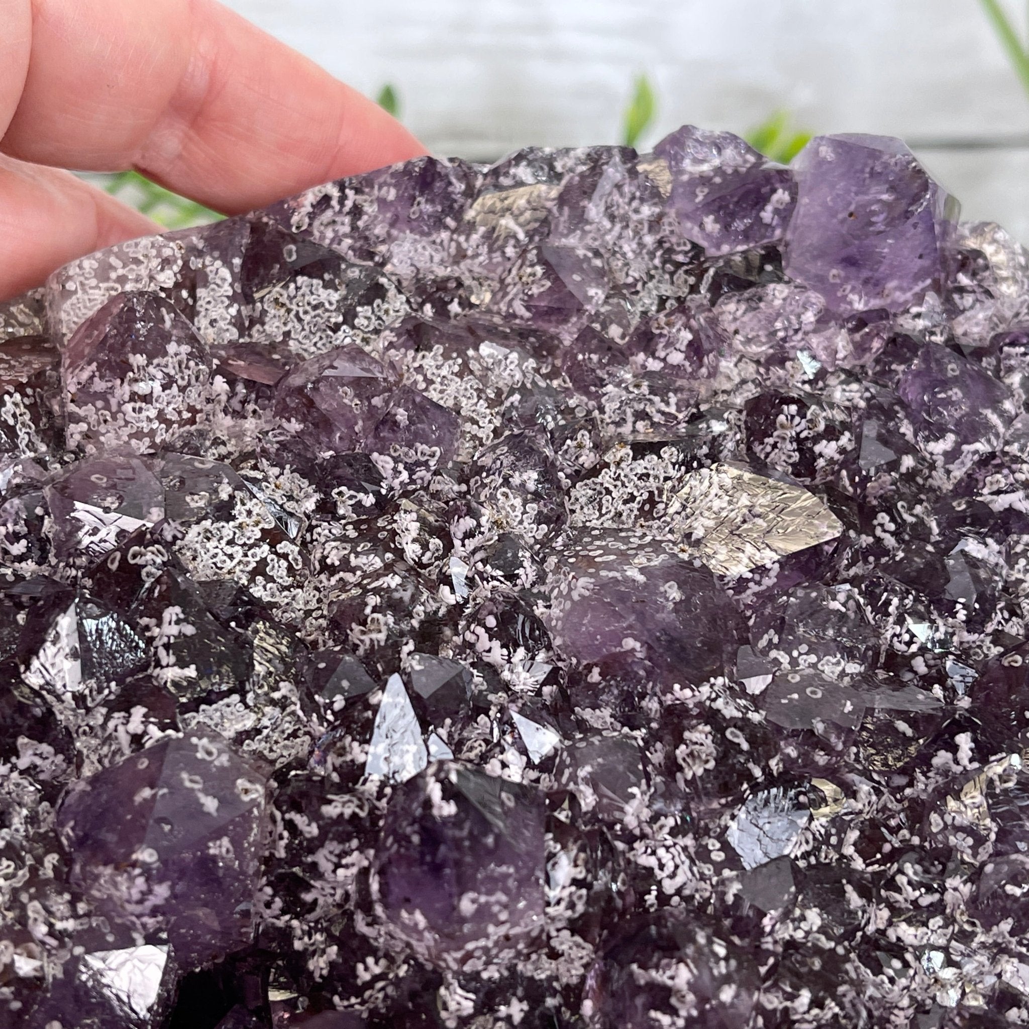 Extra Plus Quality Unique Uruguayan Amethyst Geode, 5.5” tall & 14.2 lbs #5520-0016 by Brazil Gems - Brazil GemsBrazil GemsExtra Plus Quality Unique Uruguayan Amethyst Geode, 5.5” tall & 14.2 lbs #5520-0016 by Brazil GemsClusters: Unique & Freeform5520-0016