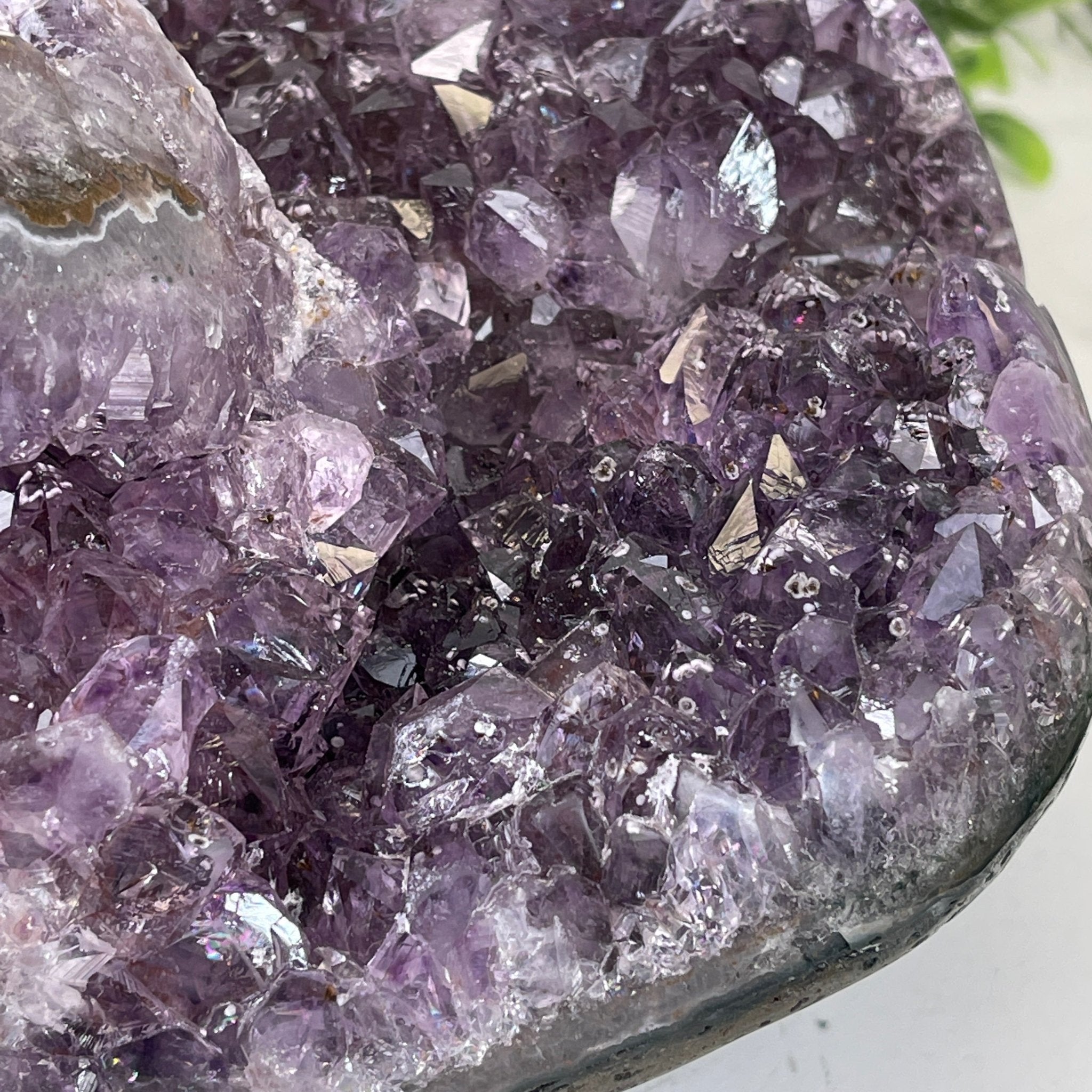 Extra Plus Quality Unique Uruguayan Amethyst Geode, 5.5” tall & 14.2 lbs #5520-0016 by Brazil Gems - Brazil GemsBrazil GemsExtra Plus Quality Unique Uruguayan Amethyst Geode, 5.5” tall & 14.2 lbs #5520-0016 by Brazil GemsClusters: Unique & Freeform5520-0016