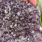 Extra Plus Quality Unique Uruguayan Amethyst Geode, 5.5” tall & 14.2 lbs #5520-0016 by Brazil Gems - Brazil GemsBrazil GemsExtra Plus Quality Unique Uruguayan Amethyst Geode, 5.5” tall & 14.2 lbs #5520-0016 by Brazil GemsClusters: Unique & Freeform5520-0016