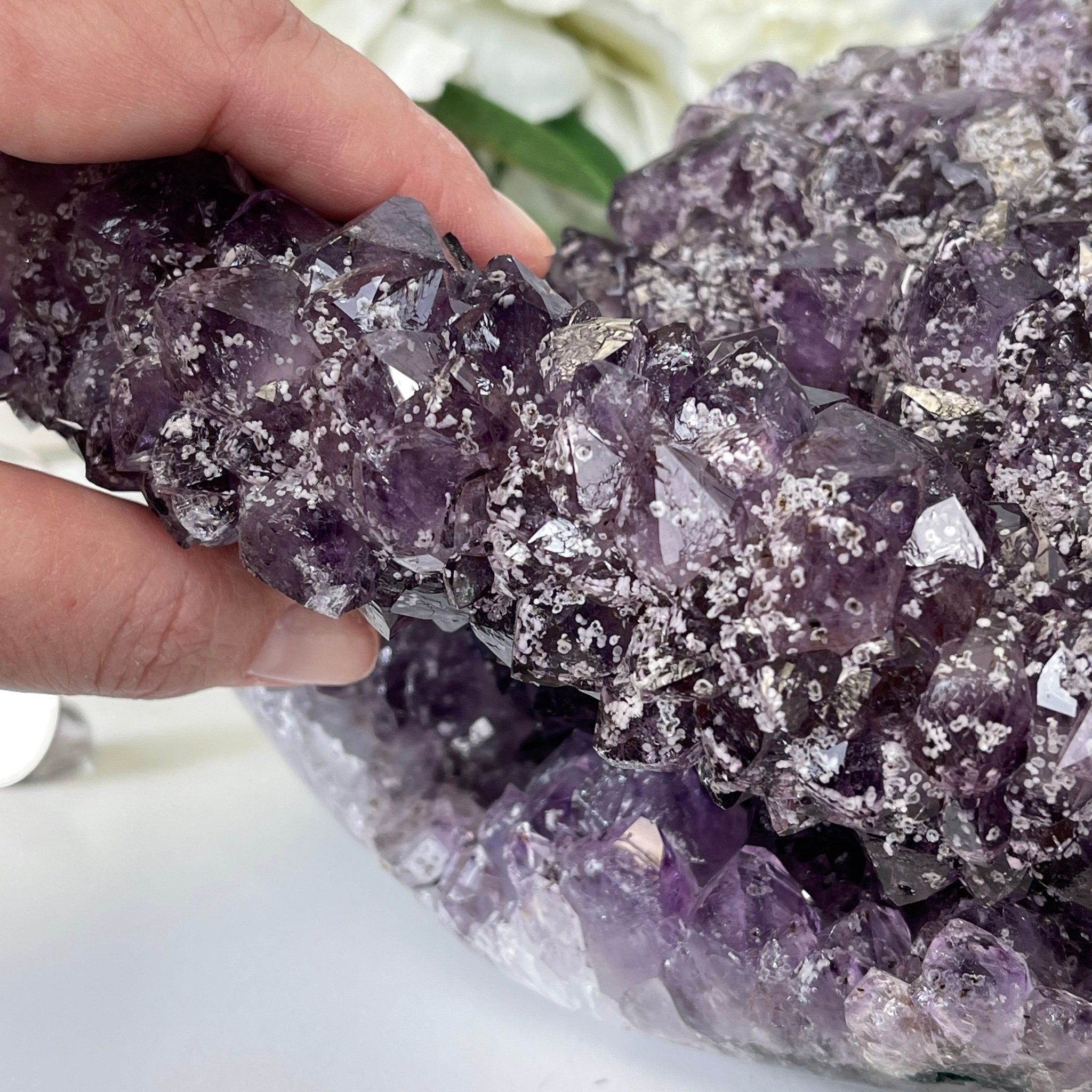 Extra Plus Quality Unique Uruguayan Amethyst Geode, 5.5” tall & 14.2 lbs #5520-0016 by Brazil Gems - Brazil GemsBrazil GemsExtra Plus Quality Unique Uruguayan Amethyst Geode, 5.5” tall & 14.2 lbs #5520-0016 by Brazil GemsClusters: Unique & Freeform5520-0016