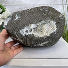 Extra Plus Quality Unique Uruguayan Amethyst Geode, 6.75” tall & 21.3 lbs #5520-0021 by Brazil Gems - Brazil GemsBrazil GemsExtra Plus Quality Unique Uruguayan Amethyst Geode, 6.75” tall & 21.3 lbs #5520-0021 by Brazil GemsClusters: Unique & Freeform5520-0021