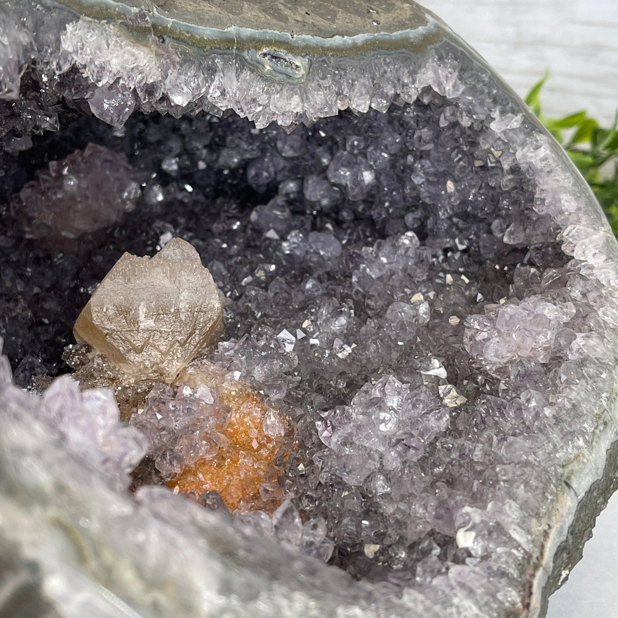 Extra Plus Quality Unique Uruguayan Amethyst Geode, 6.75” tall & 21.3 lbs #5520-0021 by Brazil Gems - Brazil GemsBrazil GemsExtra Plus Quality Unique Uruguayan Amethyst Geode, 6.75” tall & 21.3 lbs #5520-0021 by Brazil GemsClusters: Unique & Freeform5520-0021