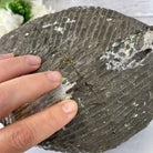 Extra Plus Quality Unique Uruguayan Amethyst Geode, 6.75” tall & 21.3 lbs #5520-0021 by Brazil Gems - Brazil GemsBrazil GemsExtra Plus Quality Unique Uruguayan Amethyst Geode, 6.75” tall & 21.3 lbs #5520-0021 by Brazil GemsClusters: Unique & Freeform5520-0021