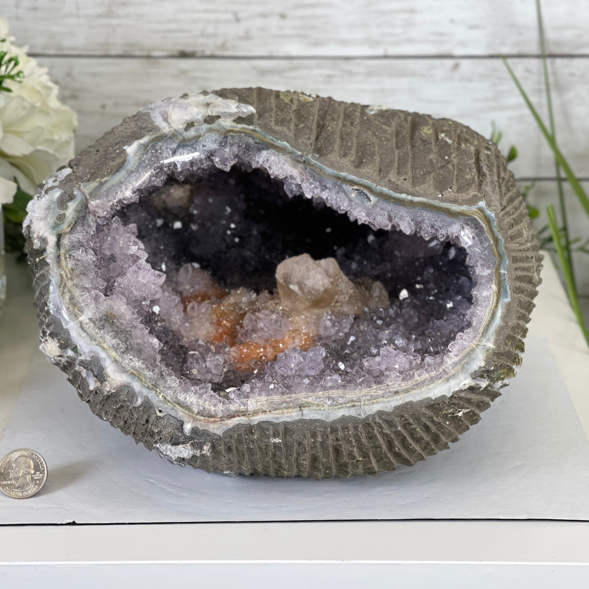 Extra Plus Quality Unique Uruguayan Amethyst Geode, 6.75” tall & 21.3 lbs #5520-0021 by Brazil Gems - Brazil GemsBrazil GemsExtra Plus Quality Unique Uruguayan Amethyst Geode, 6.75” tall & 21.3 lbs #5520-0021 by Brazil GemsClusters: Unique & Freeform5520-0021