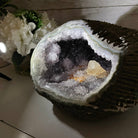 Extra Plus Quality Unique Uruguayan Amethyst Geode, 6.75” tall & 21.3 lbs #5520-0021 by Brazil Gems - Brazil GemsBrazil GemsExtra Plus Quality Unique Uruguayan Amethyst Geode, 6.75” tall & 21.3 lbs #5520-0021 by Brazil GemsClusters: Unique & Freeform5520-0021