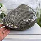 Extra Plus Quality Unique Uruguayan Amethyst Geode, 6.75” tall & 21.3 lbs #5520-0021 by Brazil Gems - Brazil GemsBrazil GemsExtra Plus Quality Unique Uruguayan Amethyst Geode, 6.75” tall & 21.3 lbs #5520-0021 by Brazil GemsClusters: Unique & Freeform5520-0021