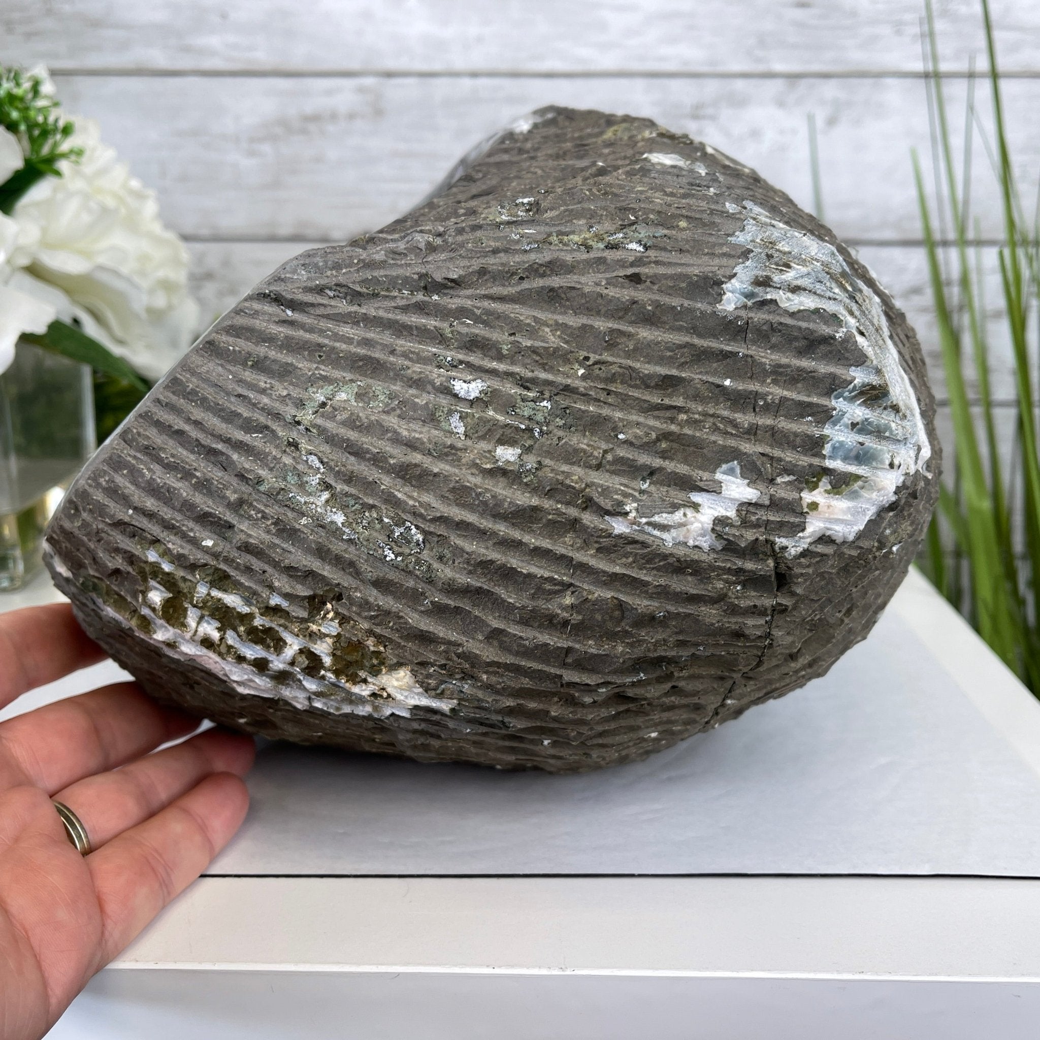 Extra Plus Quality Unique Uruguayan Amethyst Geode, 6.75” tall & 21.3 lbs #5520-0021 by Brazil Gems - Brazil GemsBrazil GemsExtra Plus Quality Unique Uruguayan Amethyst Geode, 6.75” tall & 21.3 lbs #5520-0021 by Brazil GemsClusters: Unique & Freeform5520-0021