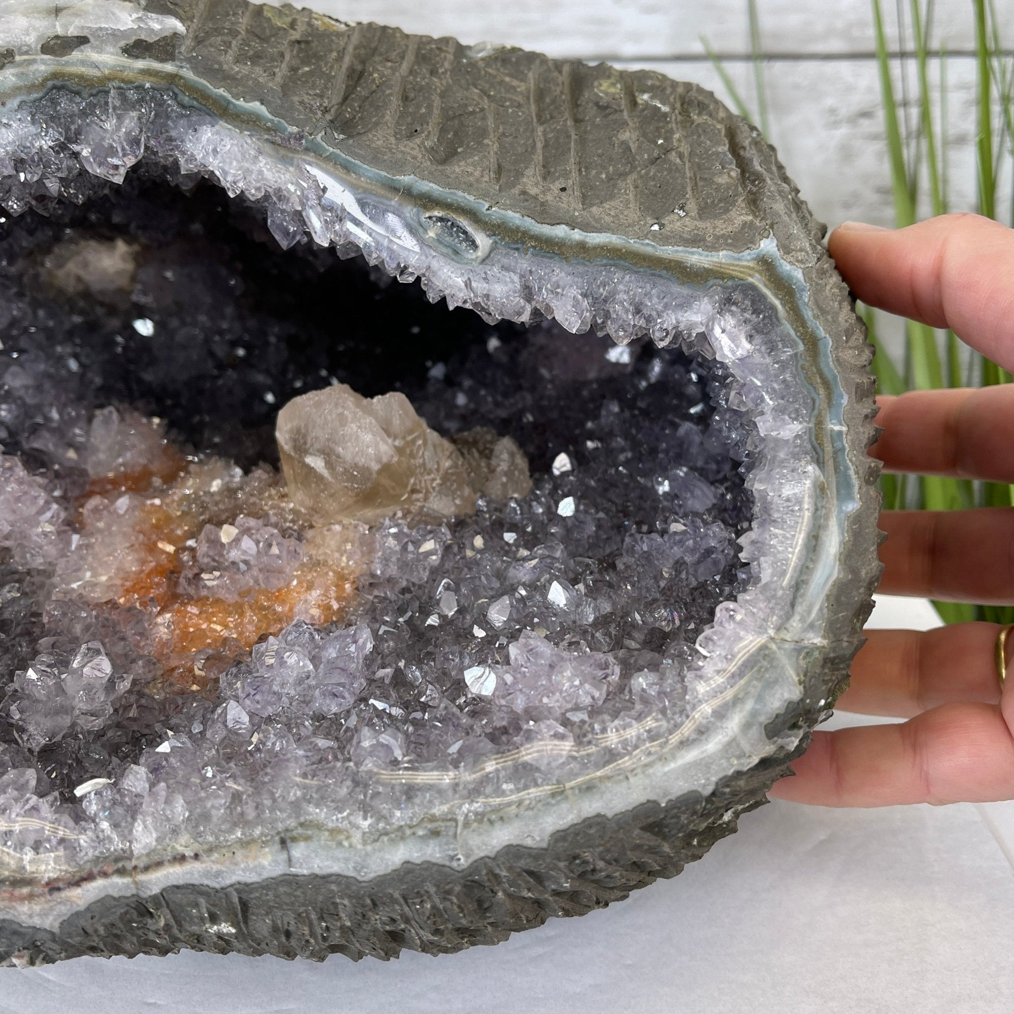 Extra Plus Quality Unique Uruguayan Amethyst Geode, 6.75” tall & 21.3 lbs #5520-0021 by Brazil Gems - Brazil GemsBrazil GemsExtra Plus Quality Unique Uruguayan Amethyst Geode, 6.75” tall & 21.3 lbs #5520-0021 by Brazil GemsClusters: Unique & Freeform5520-0021