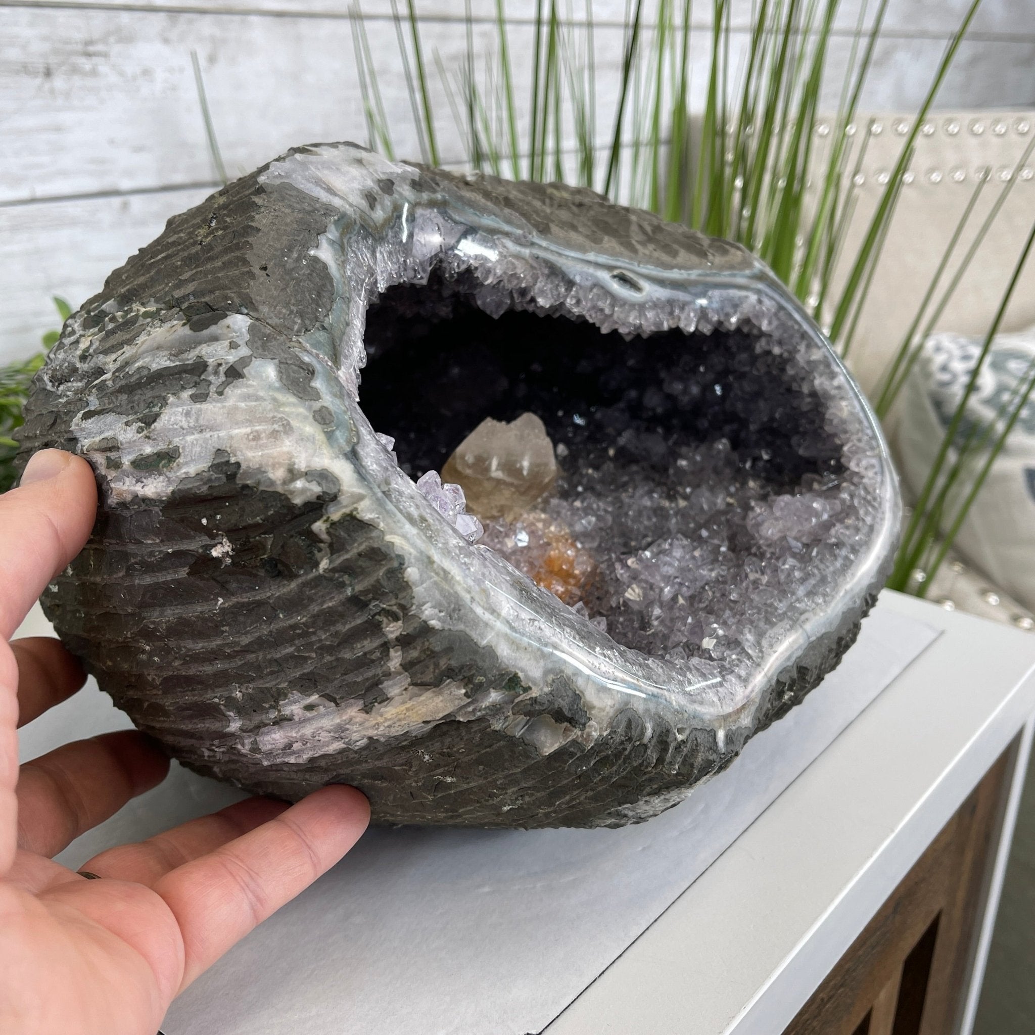 Extra Plus Quality Unique Uruguayan Amethyst Geode, 6.75” tall & 21.3 lbs #5520-0021 by Brazil Gems - Brazil GemsBrazil GemsExtra Plus Quality Unique Uruguayan Amethyst Geode, 6.75” tall & 21.3 lbs #5520-0021 by Brazil GemsClusters: Unique & Freeform5520-0021