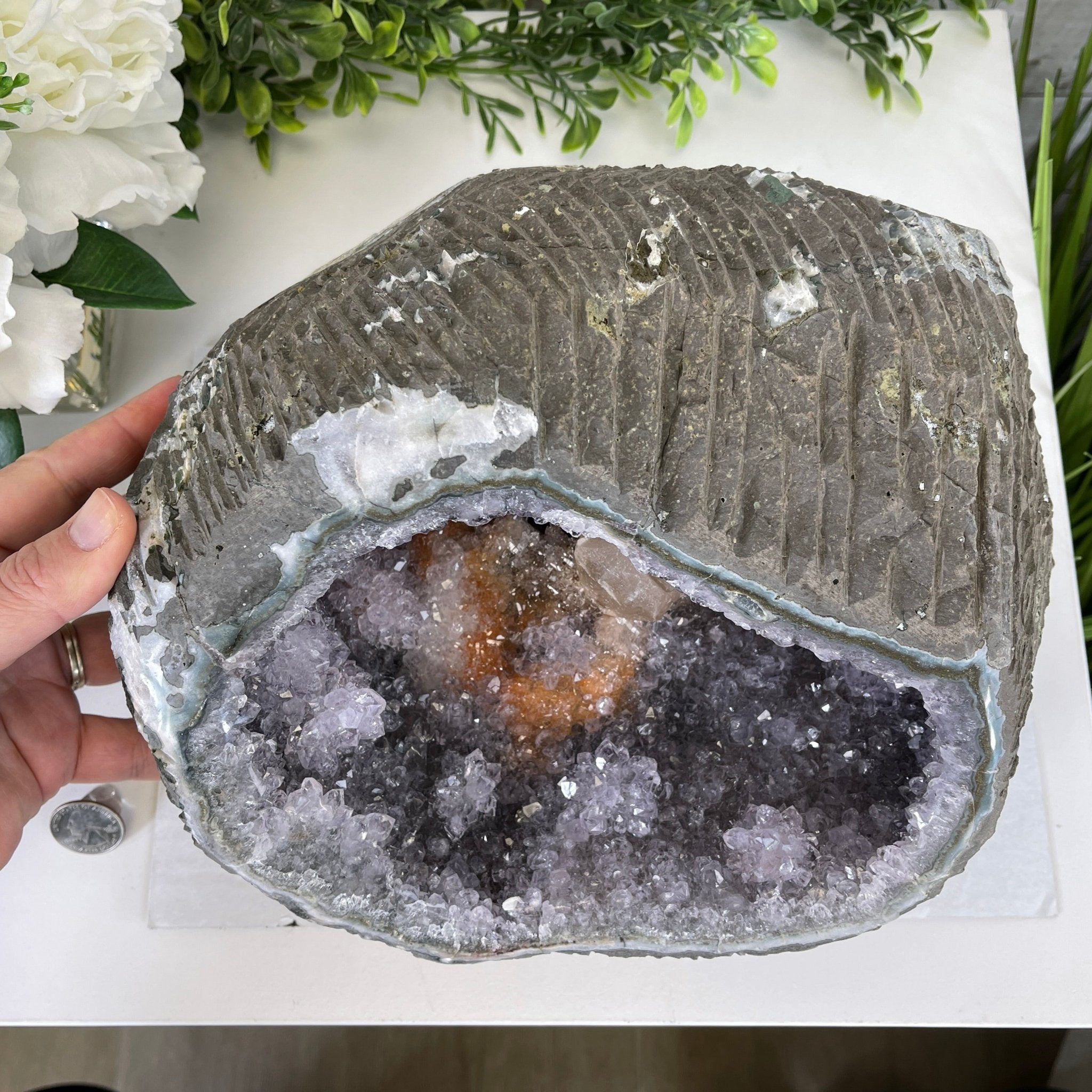 Extra Plus Quality Unique Uruguayan Amethyst Geode, 6.75” tall & 21.3 lbs #5520-0021 by Brazil Gems - Brazil GemsBrazil GemsExtra Plus Quality Unique Uruguayan Amethyst Geode, 6.75” tall & 21.3 lbs #5520-0021 by Brazil GemsClusters: Unique & Freeform5520-0021