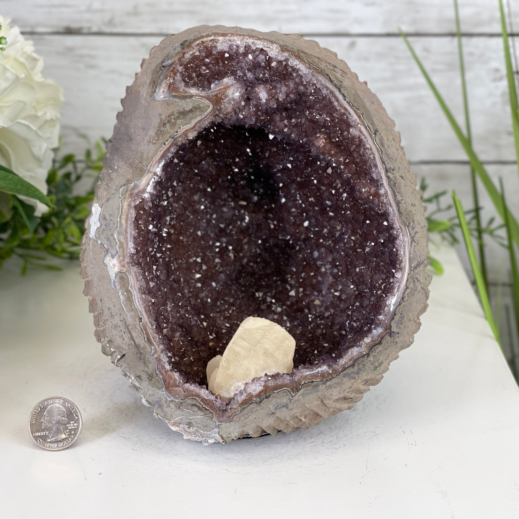 Extra Plus Quality Unique Uruguayan Amethyst Geode, 7” tall & 7.6 lbs #5520-0014 by Brazil Gems - Brazil GemsBrazil GemsExtra Plus Quality Unique Uruguayan Amethyst Geode, 7” tall & 7.6 lbs #5520-0014 by Brazil GemsClusters: Unique & Freeform5520-0014