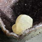 Extra Plus Quality Unique Uruguayan Amethyst Geode, 7” tall & 7.6 lbs #5520-0014 by Brazil Gems - Brazil GemsBrazil GemsExtra Plus Quality Unique Uruguayan Amethyst Geode, 7” tall & 7.6 lbs #5520-0014 by Brazil GemsClusters: Unique & Freeform5520-0014