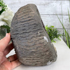 Extra Plus Quality Unique Uruguayan Amethyst Geode, 7” tall & 7.6 lbs #5520-0014 by Brazil Gems - Brazil GemsBrazil GemsExtra Plus Quality Unique Uruguayan Amethyst Geode, 7” tall & 7.6 lbs #5520-0014 by Brazil GemsClusters: Unique & Freeform5520-0014