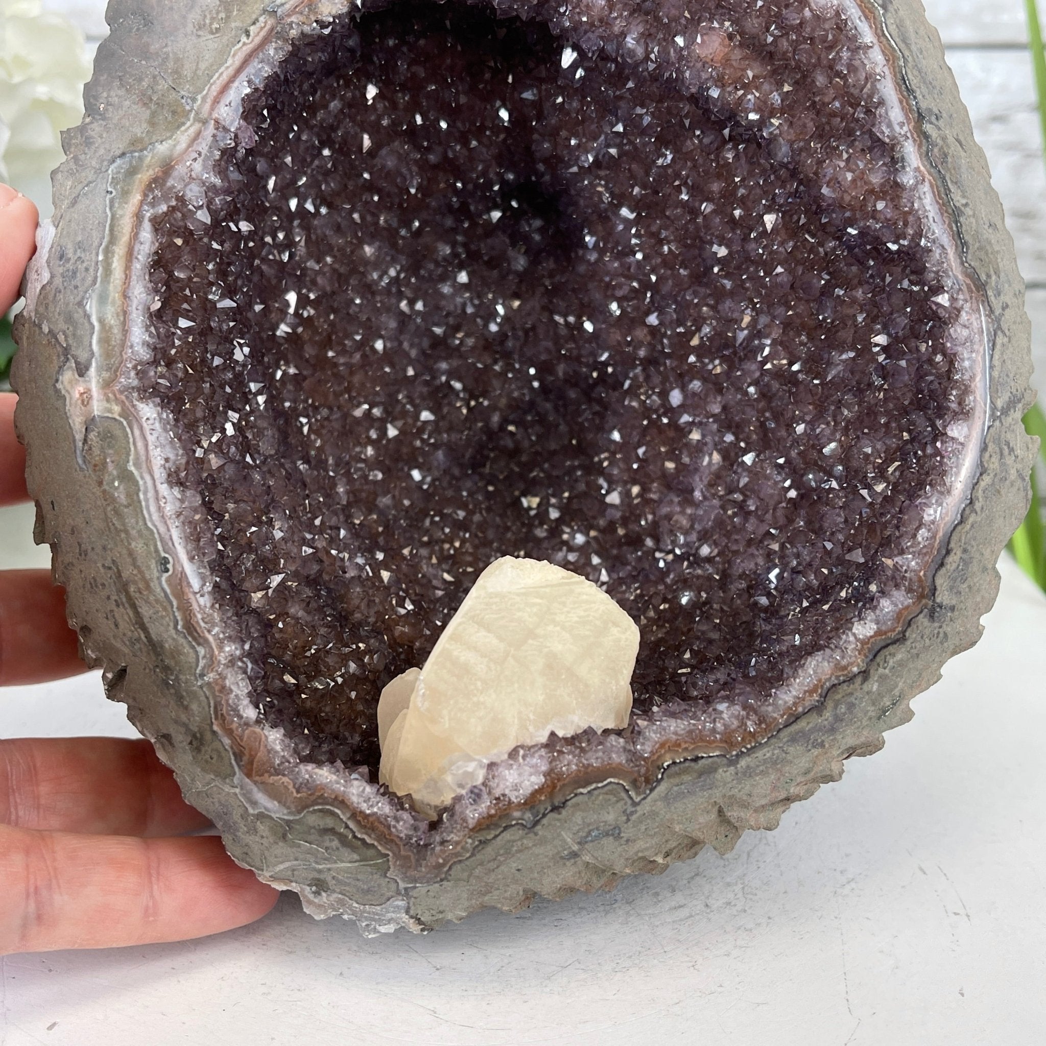 Extra Plus Quality Unique Uruguayan Amethyst Geode, 7” tall & 7.6 lbs #5520-0014 by Brazil Gems - Brazil GemsBrazil GemsExtra Plus Quality Unique Uruguayan Amethyst Geode, 7” tall & 7.6 lbs #5520-0014 by Brazil GemsClusters: Unique & Freeform5520-0014