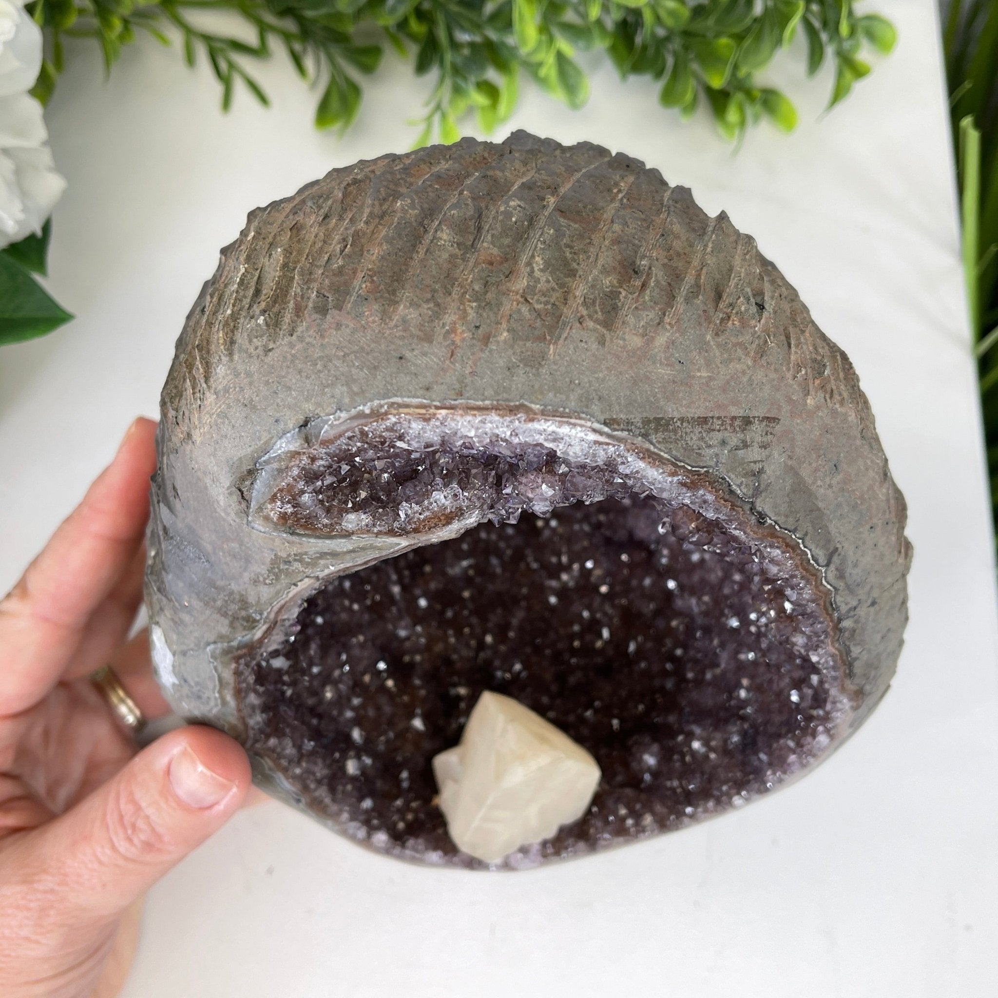 Extra Plus Quality Unique Uruguayan Amethyst Geode, 7” tall & 7.6 lbs #5520-0014 by Brazil Gems - Brazil GemsBrazil GemsExtra Plus Quality Unique Uruguayan Amethyst Geode, 7” tall & 7.6 lbs #5520-0014 by Brazil GemsClusters: Unique & Freeform5520-0014