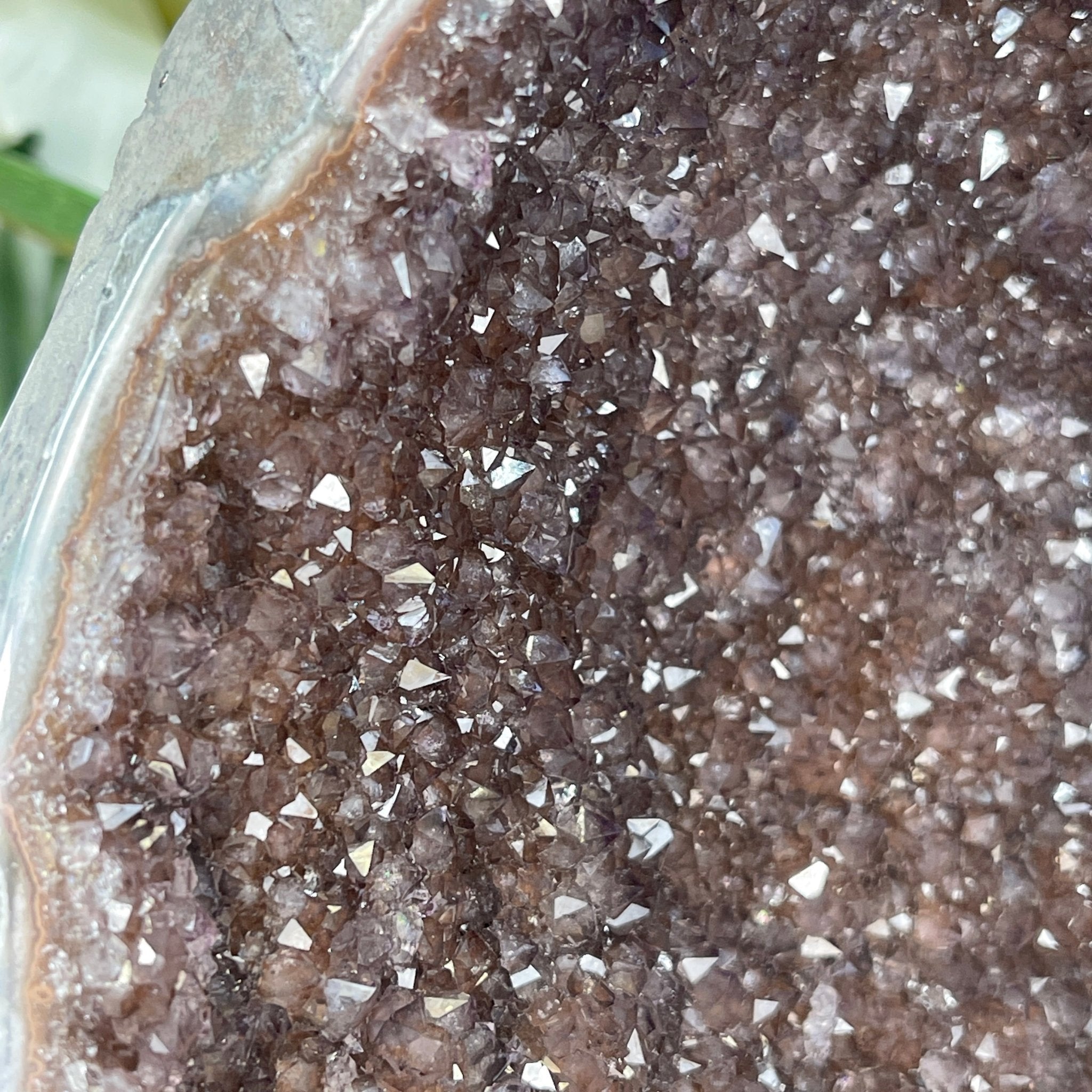 Extra Plus Quality Unique Uruguayan Amethyst Geode, 7” tall & 7.6 lbs #5520-0014 by Brazil Gems - Brazil GemsBrazil GemsExtra Plus Quality Unique Uruguayan Amethyst Geode, 7” tall & 7.6 lbs #5520-0014 by Brazil GemsClusters: Unique & Freeform5520-0014