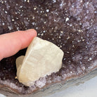 Extra Plus Quality Unique Uruguayan Amethyst Geode, 7” tall & 7.6 lbs #5520-0014 by Brazil Gems - Brazil GemsBrazil GemsExtra Plus Quality Unique Uruguayan Amethyst Geode, 7” tall & 7.6 lbs #5520-0014 by Brazil GemsClusters: Unique & Freeform5520-0014