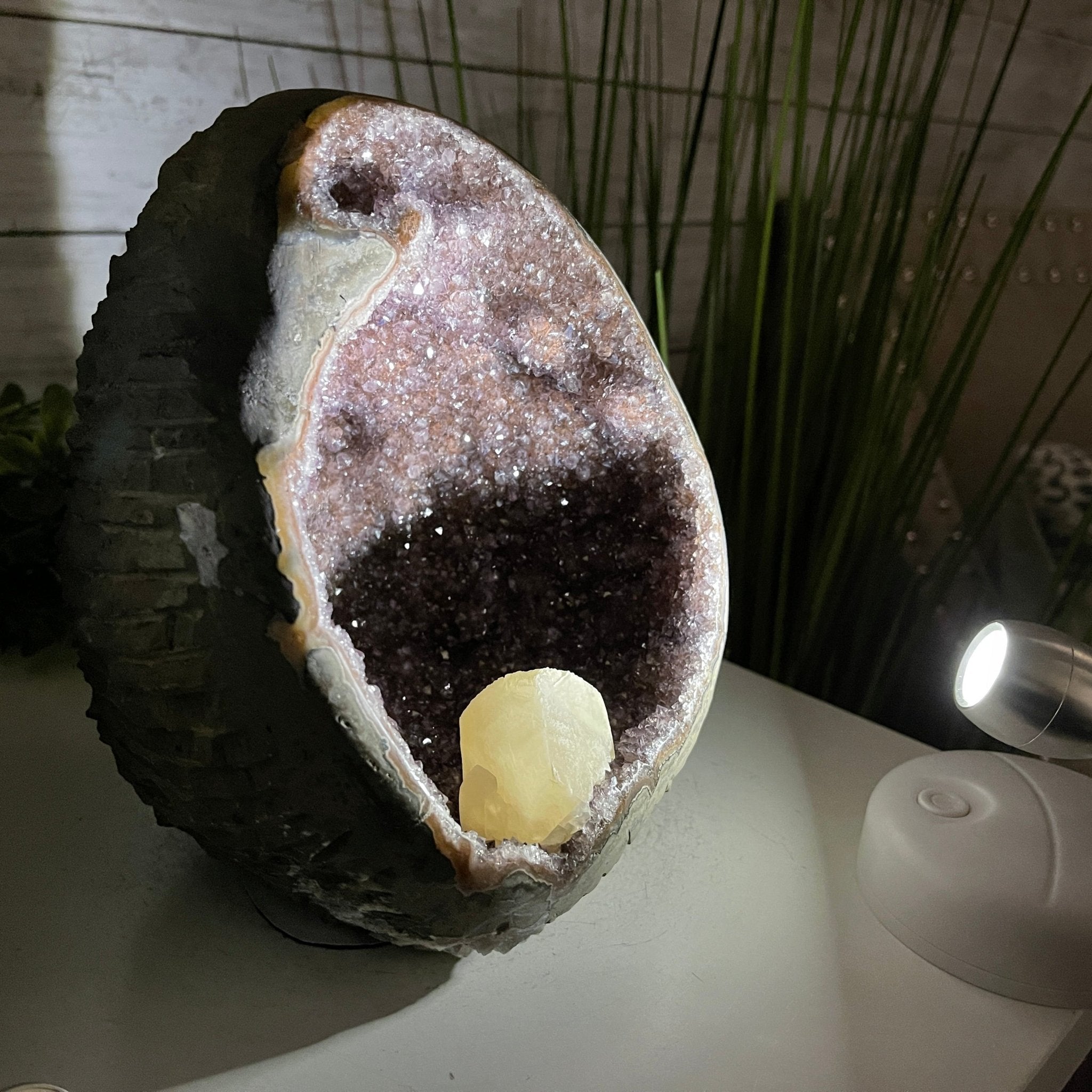 Extra Plus Quality Unique Uruguayan Amethyst Geode, 7” tall & 7.6 lbs #5520-0014 by Brazil Gems - Brazil GemsBrazil GemsExtra Plus Quality Unique Uruguayan Amethyst Geode, 7” tall & 7.6 lbs #5520-0014 by Brazil GemsClusters: Unique & Freeform5520-0014