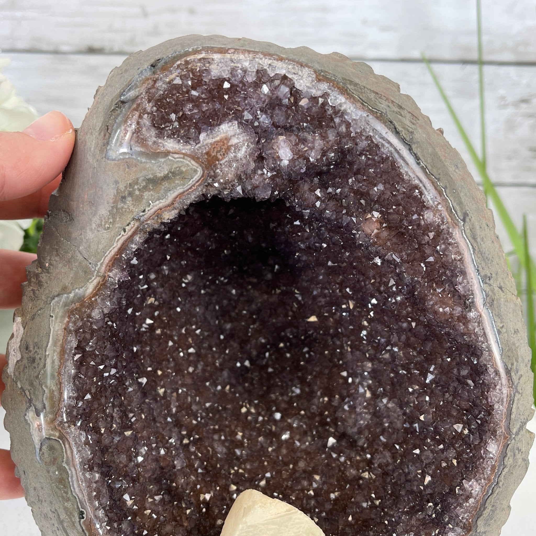 Extra Plus Quality Unique Uruguayan Amethyst Geode, 7” tall & 7.6 lbs #5520-0014 by Brazil Gems - Brazil GemsBrazil GemsExtra Plus Quality Unique Uruguayan Amethyst Geode, 7” tall & 7.6 lbs #5520-0014 by Brazil GemsClusters: Unique & Freeform5520-0014
