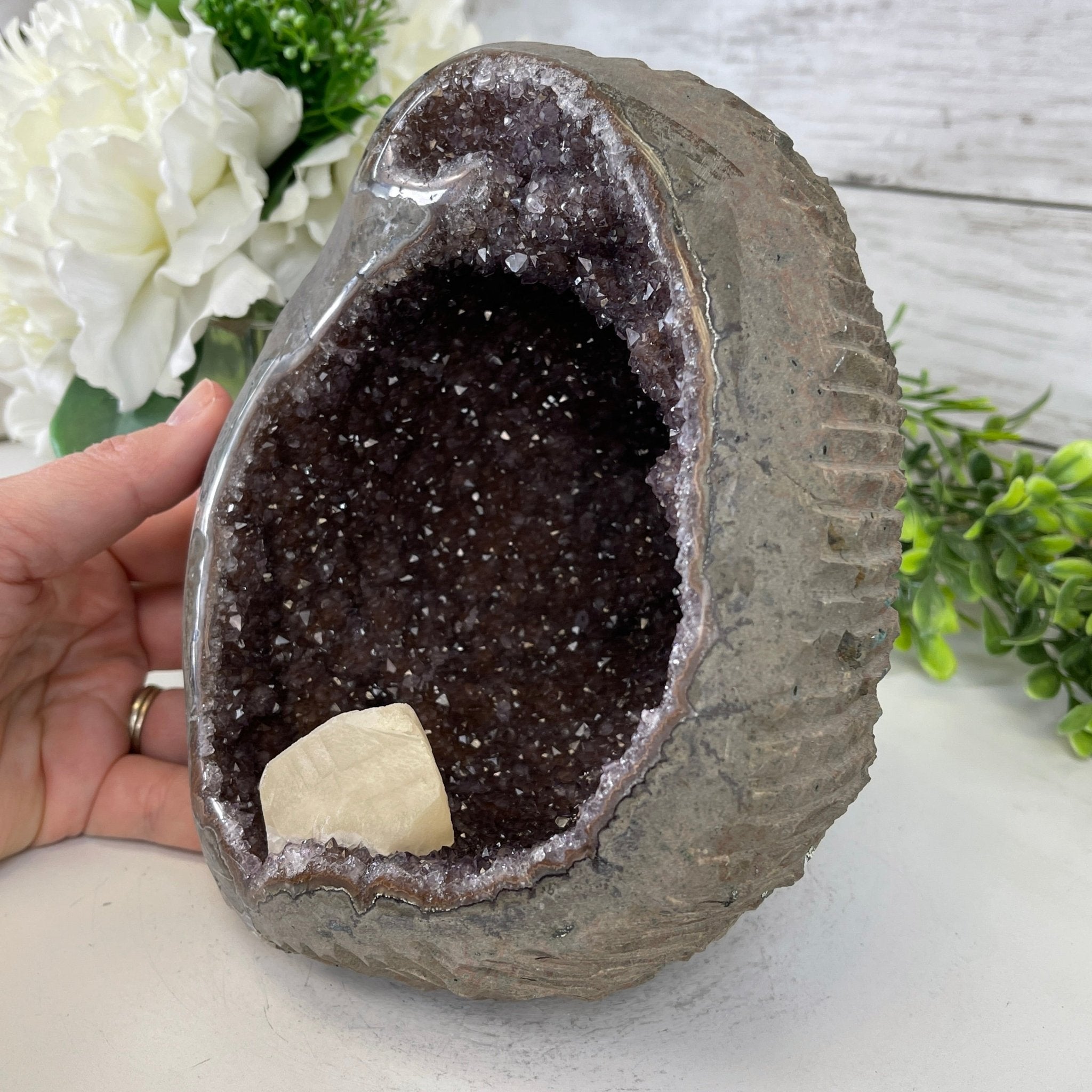 Extra Plus Quality Unique Uruguayan Amethyst Geode, 7” tall & 7.6 lbs #5520-0014 by Brazil Gems - Brazil GemsBrazil GemsExtra Plus Quality Unique Uruguayan Amethyst Geode, 7” tall & 7.6 lbs #5520-0014 by Brazil GemsClusters: Unique & Freeform5520-0014