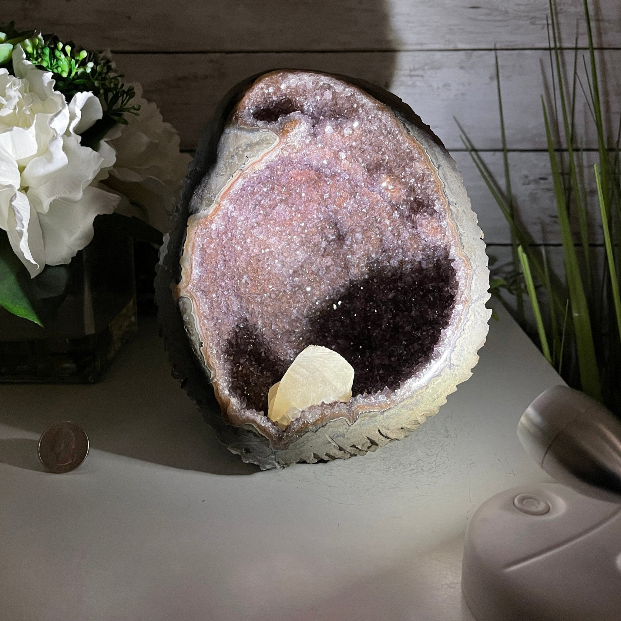 Extra Plus Quality Unique Uruguayan Amethyst Geode, 7” tall & 7.6 lbs #5520-0014 by Brazil Gems - Brazil GemsBrazil GemsExtra Plus Quality Unique Uruguayan Amethyst Geode, 7” tall & 7.6 lbs #5520-0014 by Brazil GemsClusters: Unique & Freeform5520-0014