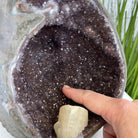 Extra Plus Quality Unique Uruguayan Amethyst Geode, 7” tall & 7.6 lbs #5520-0014 by Brazil Gems - Brazil GemsBrazil GemsExtra Plus Quality Unique Uruguayan Amethyst Geode, 7” tall & 7.6 lbs #5520-0014 by Brazil GemsClusters: Unique & Freeform5520-0014