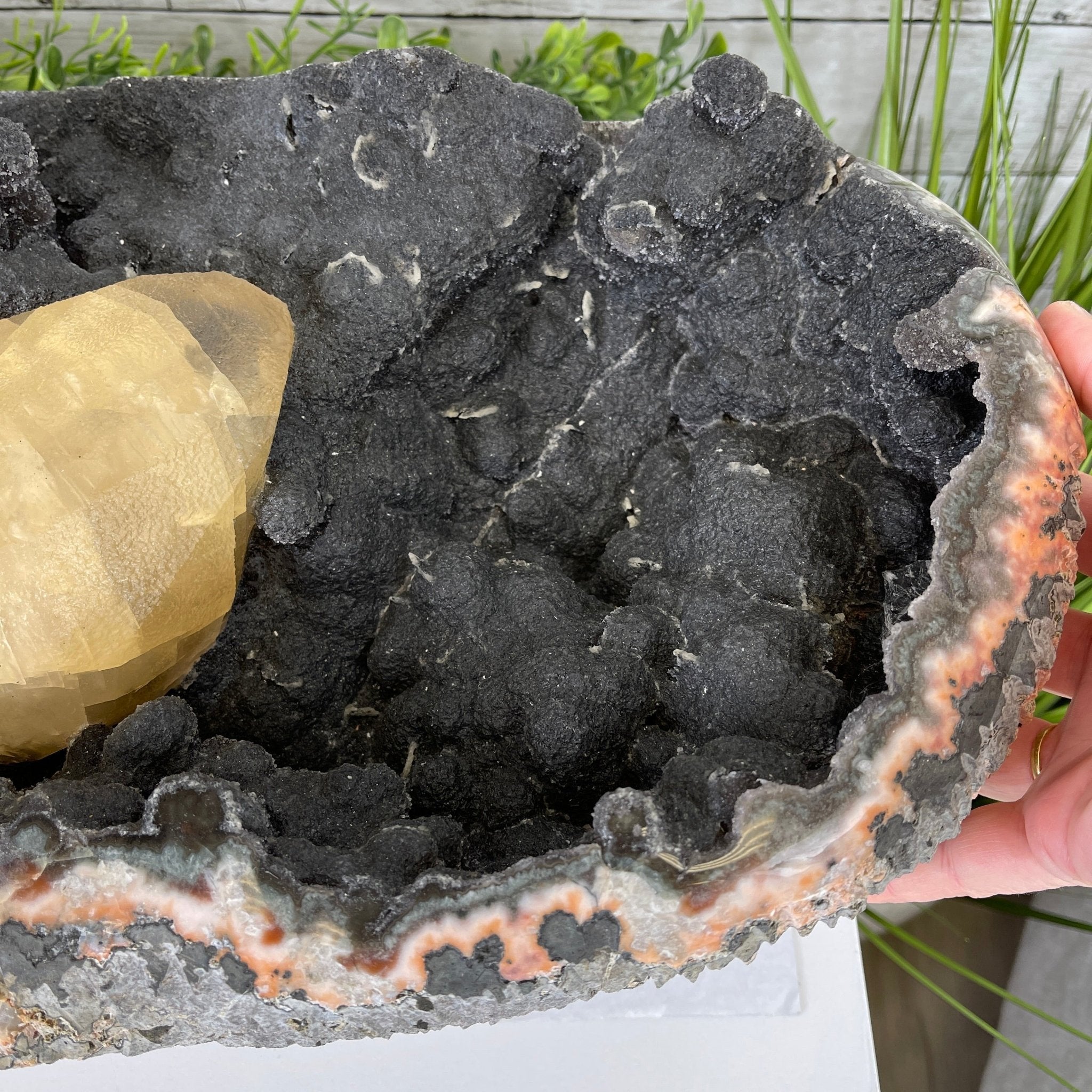 Extra Plus Quality Unique Uruguayan Amethyst Geode, 7.5” tall & 43.3 lbs #5520-0022 by Brazil Gems - Brazil GemsBrazil GemsExtra Plus Quality Unique Uruguayan Amethyst Geode, 7.5” tall & 43.3 lbs #5520-0022 by Brazil GemsClusters: Unique & Freeform5520-0022